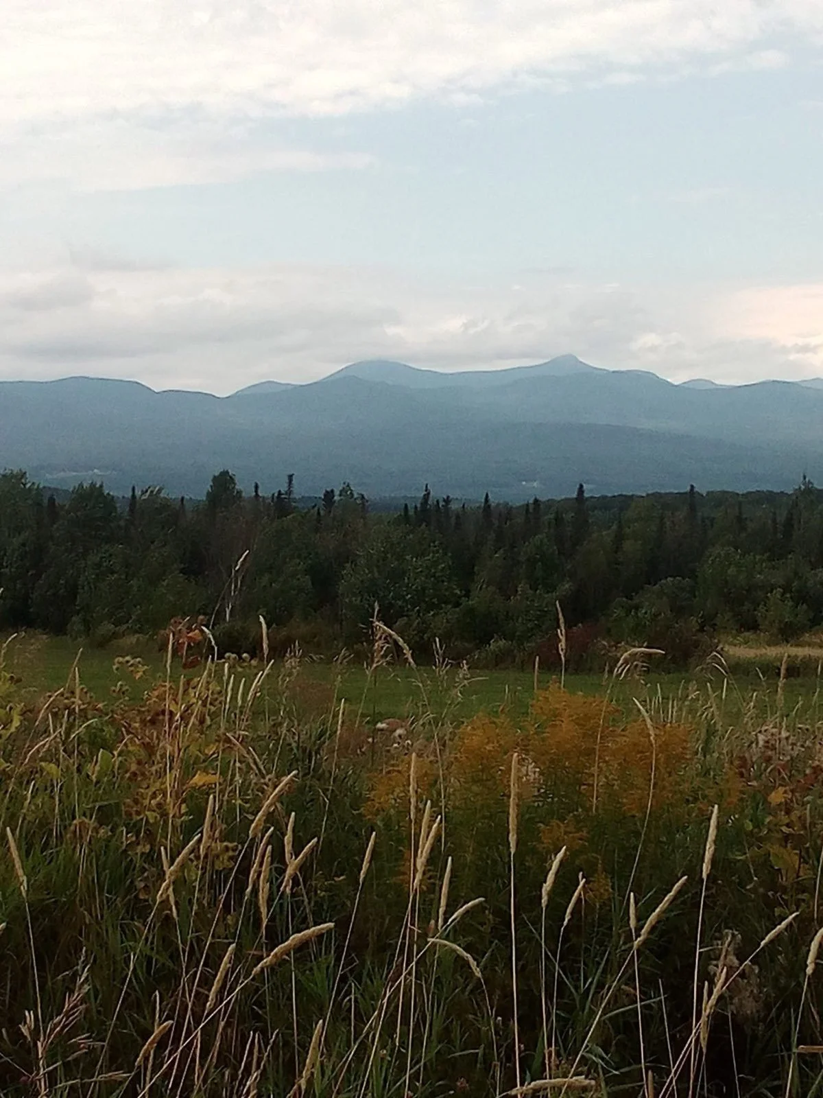Reid Genauer - Strangefolk - Eden 2025_5046.JPG