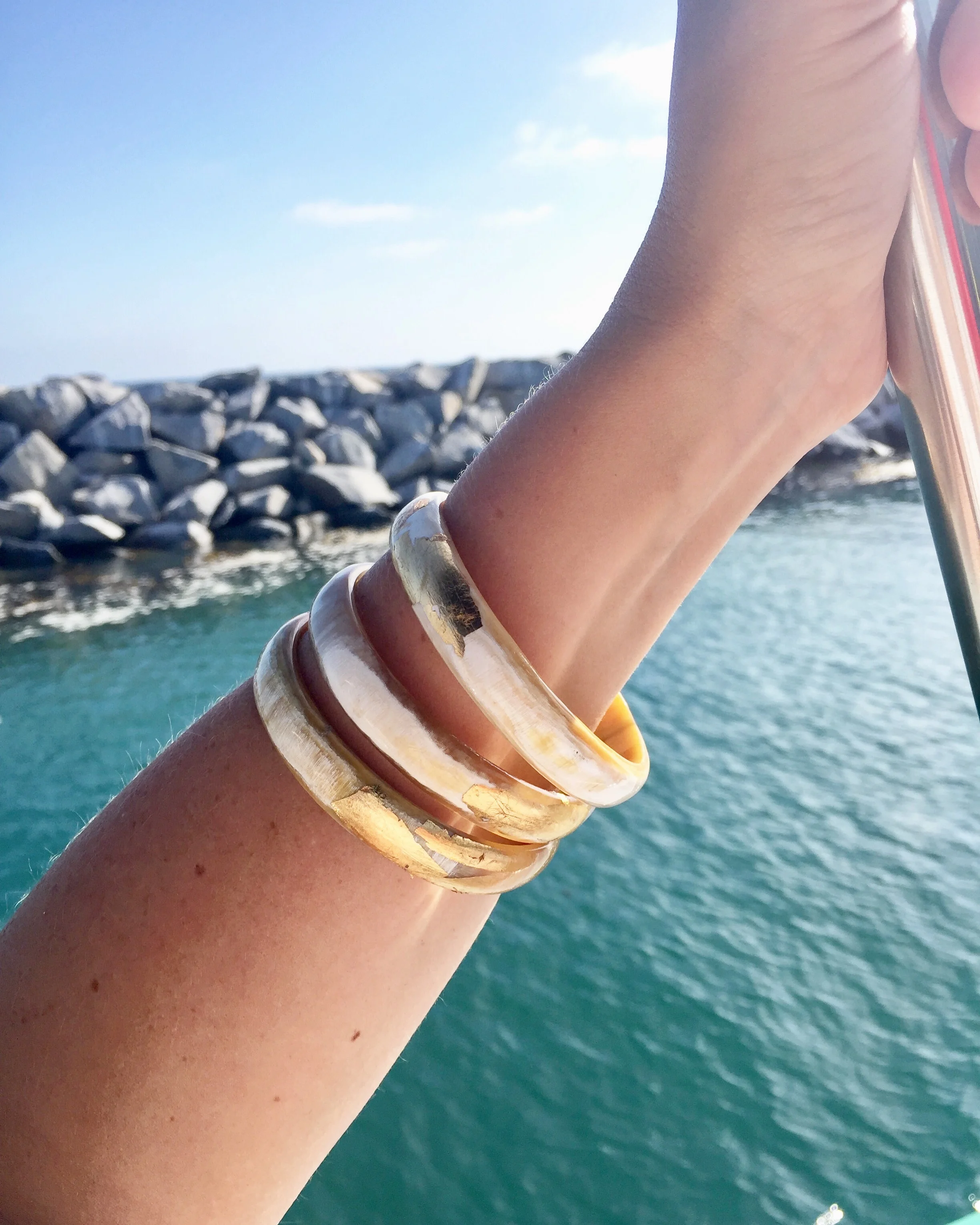 1B147CD5-1BCC-4C55-BD77-65D3040A7305