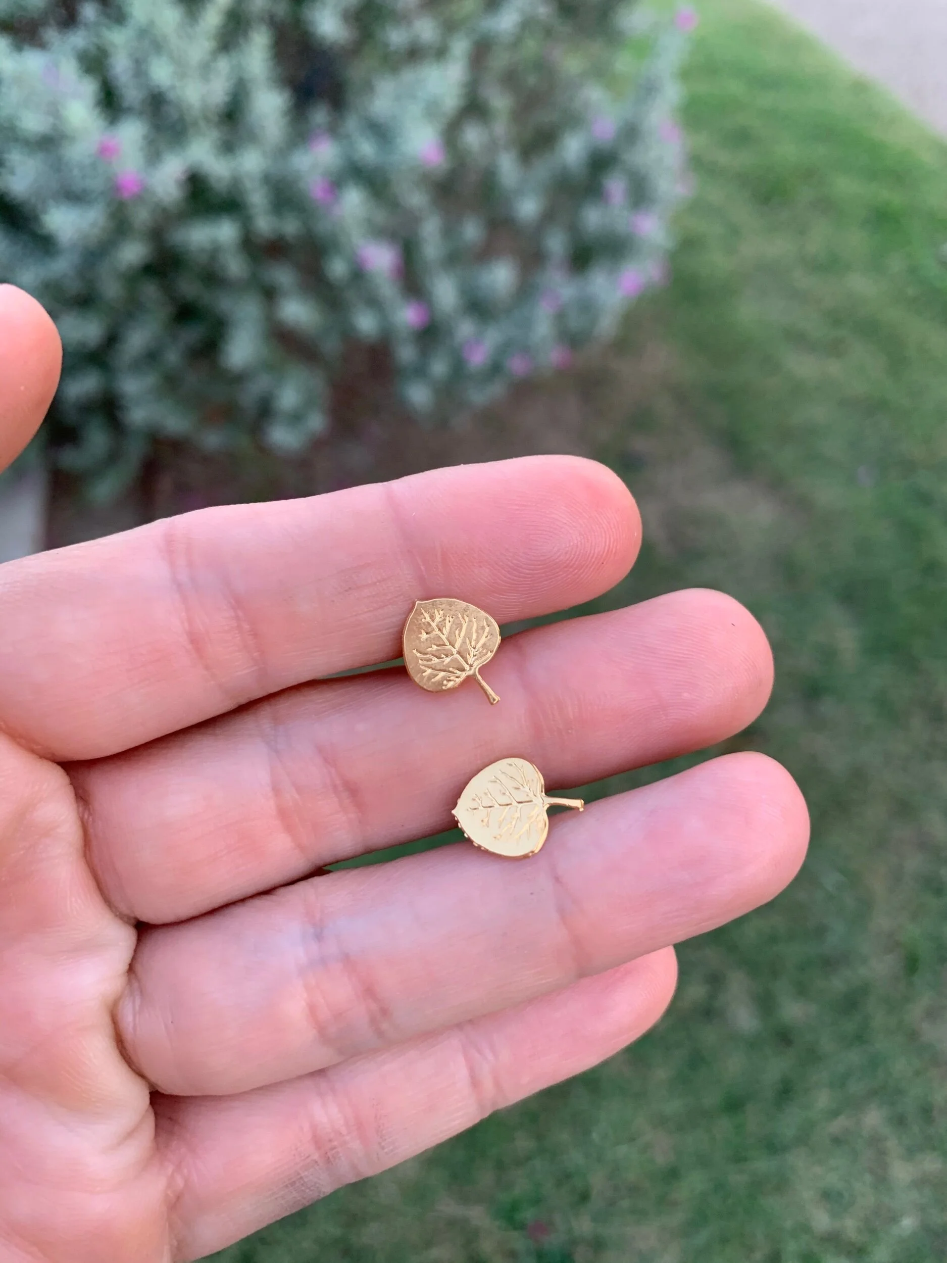 6B2FA619-502F-4BD6-AEFC-1864500E61C3