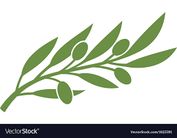 olive branch.png