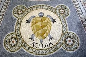 Bugenghagen 2021 Keynote — Consider the Ant