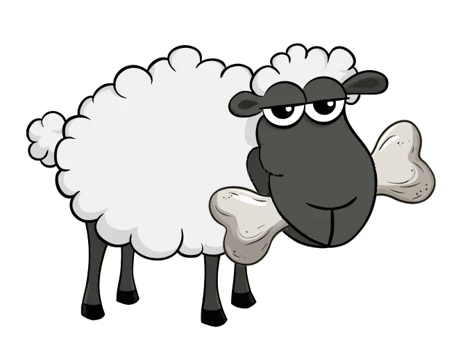 Throwing Bones Before Sheep