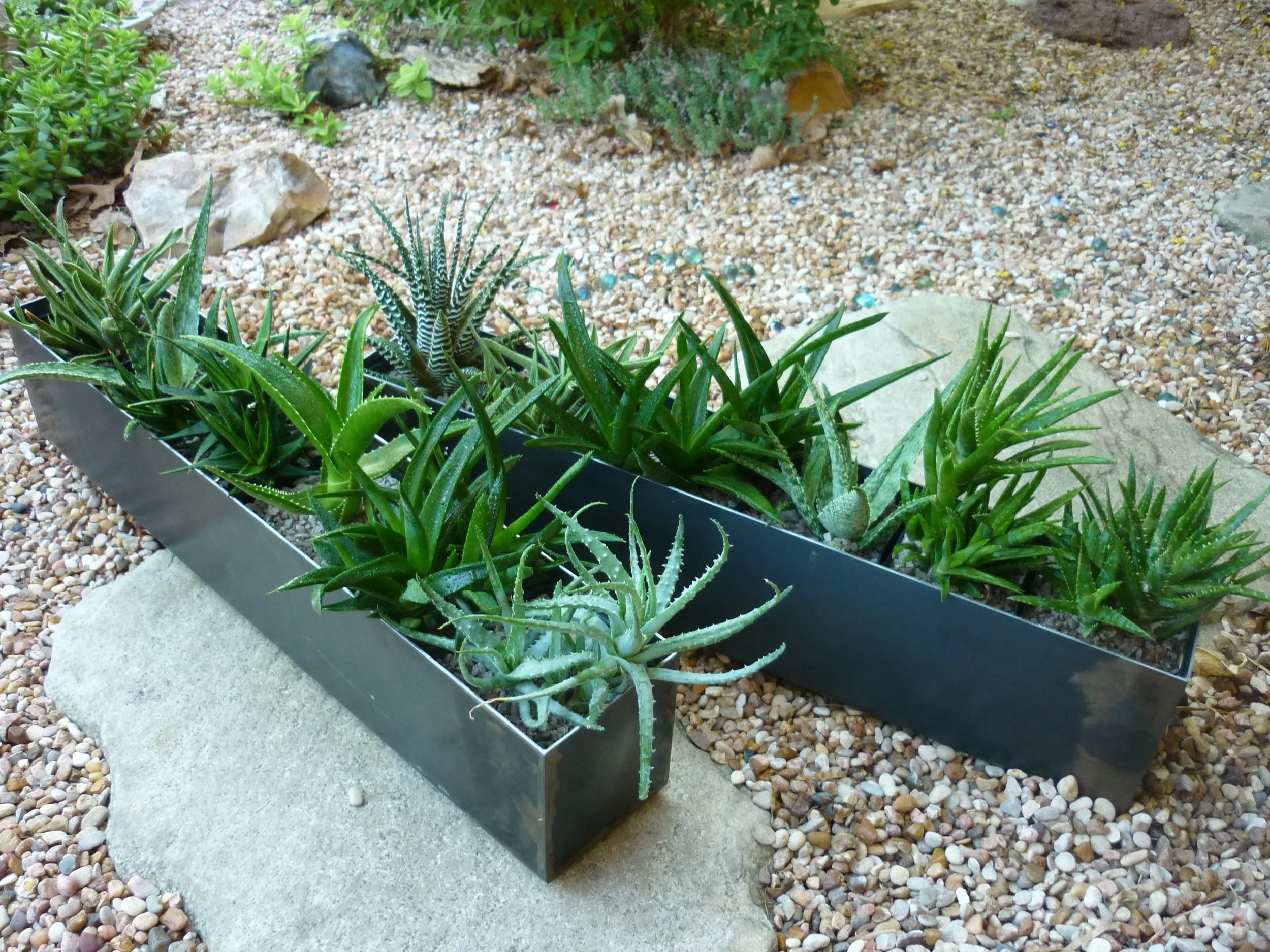 Table Top Steel Planter