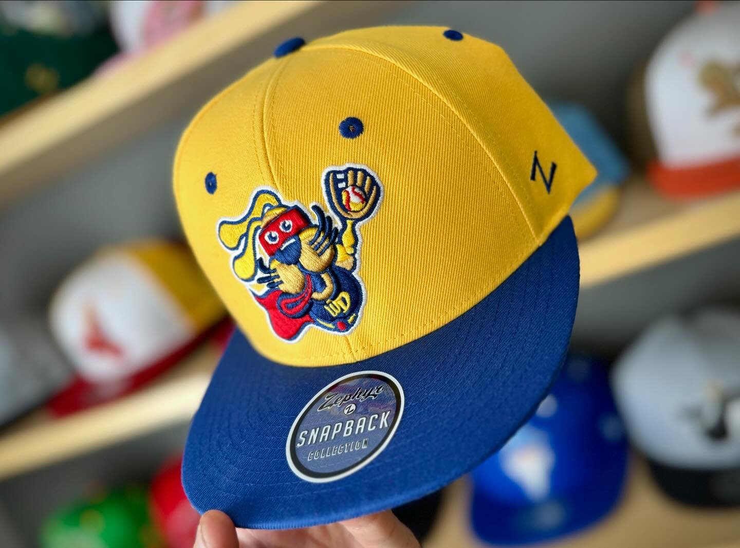 CAMPERS! We just had to spice up the Wonder Dog cap. We just dropped this edit sporting a new royal bill! Who will be on the Wonder Dogs this summer? @zephyrhats