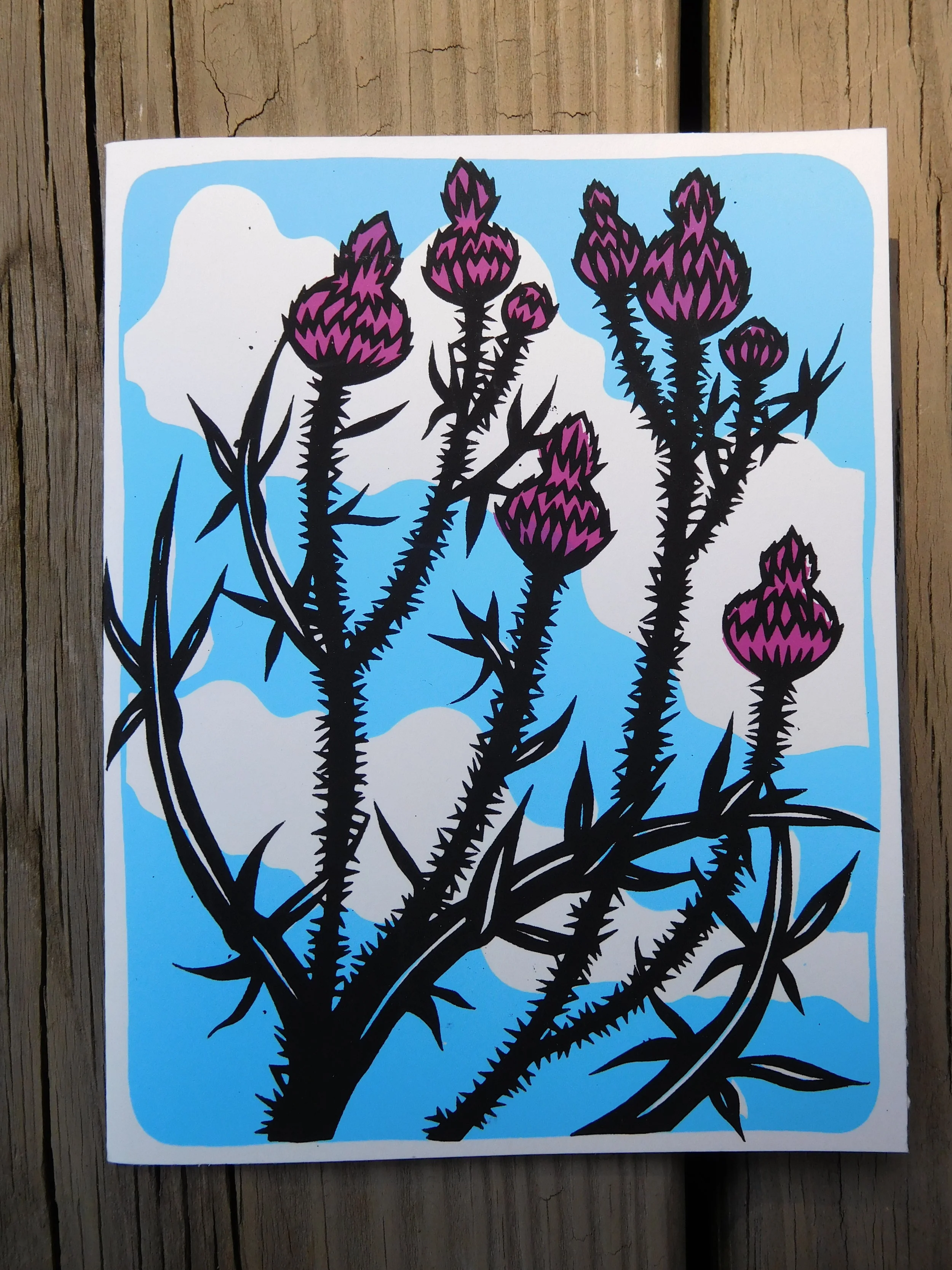 Spikes: Bull Thistle