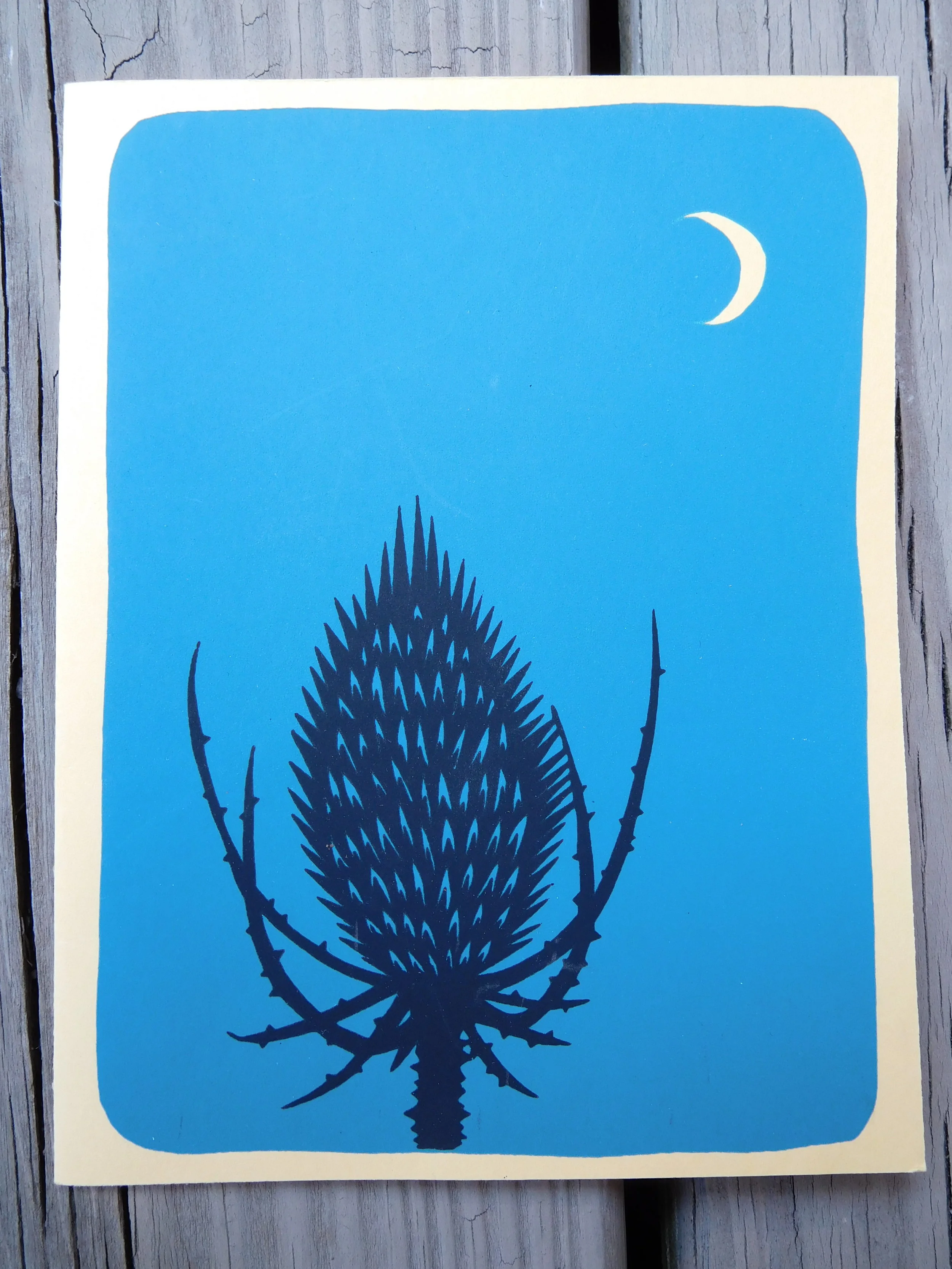Spikes: Teasel
