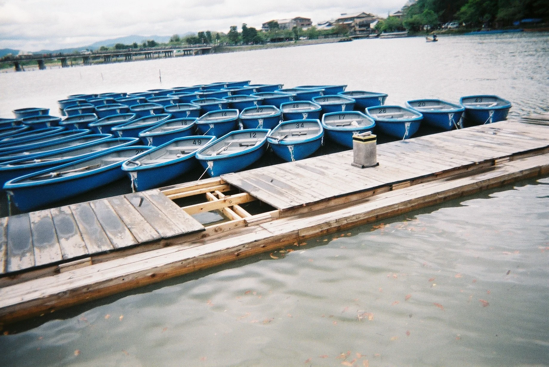 F1000020.JPG