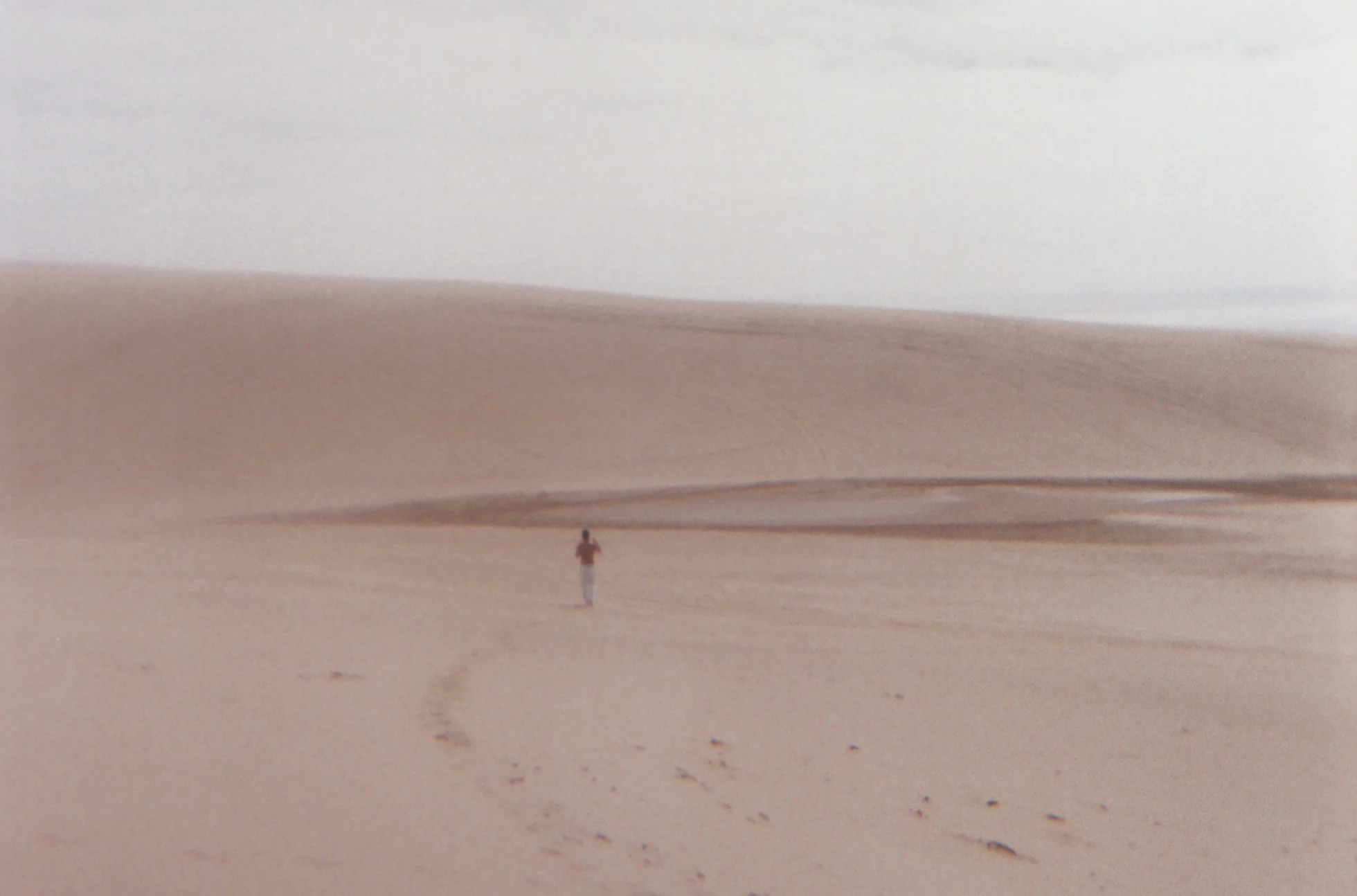 AA008.jpg
