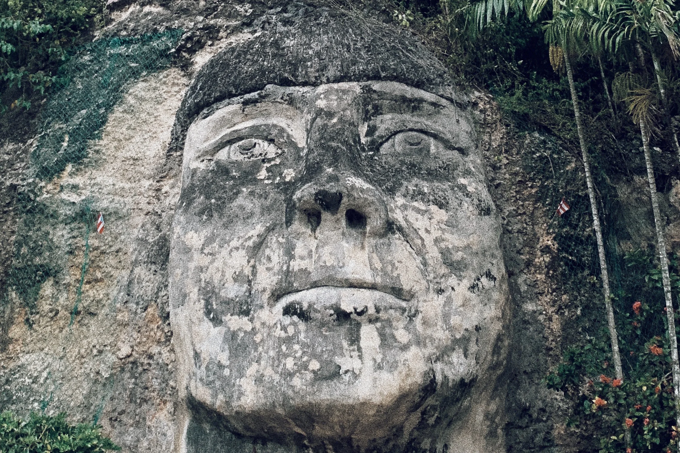 photo 10.jpg