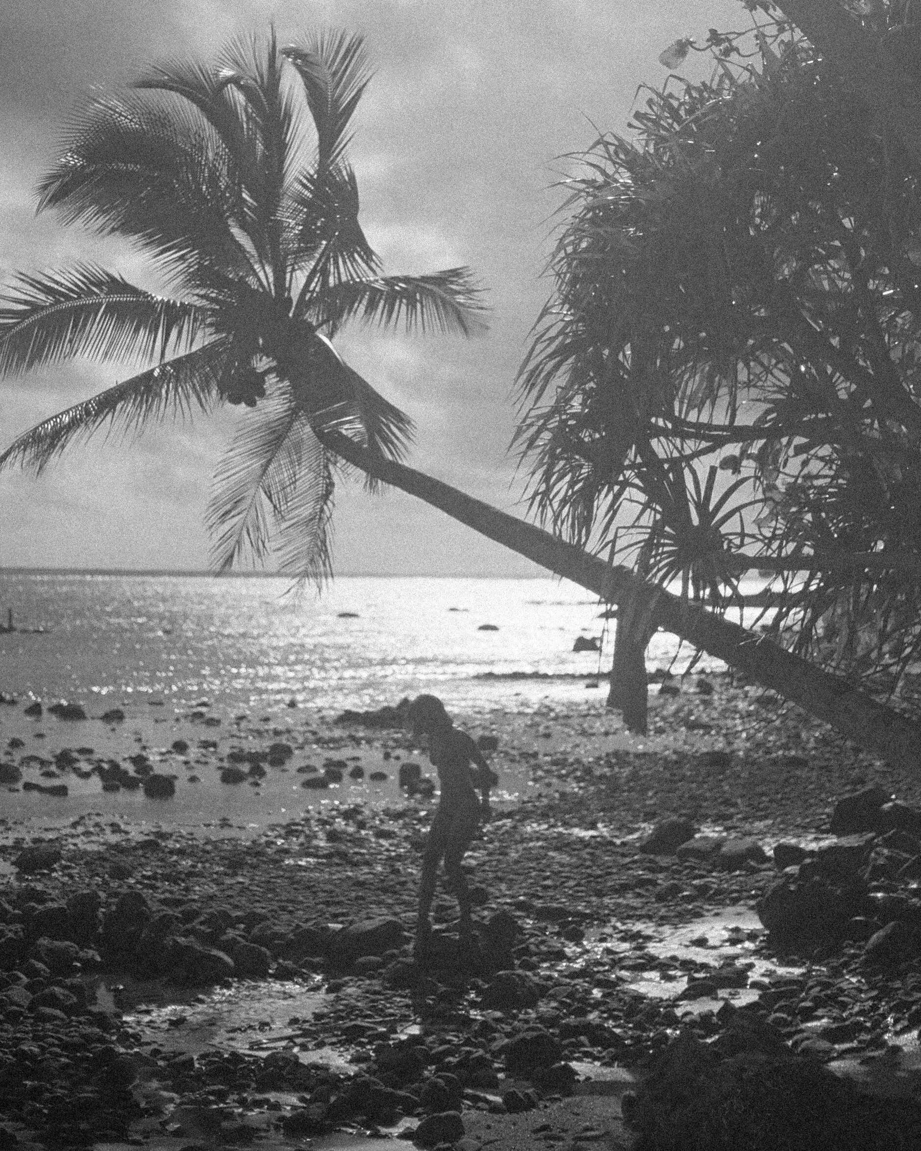 aloha785BAB32-E8F6-45E2-9021-4F0B12D6A051.jpg