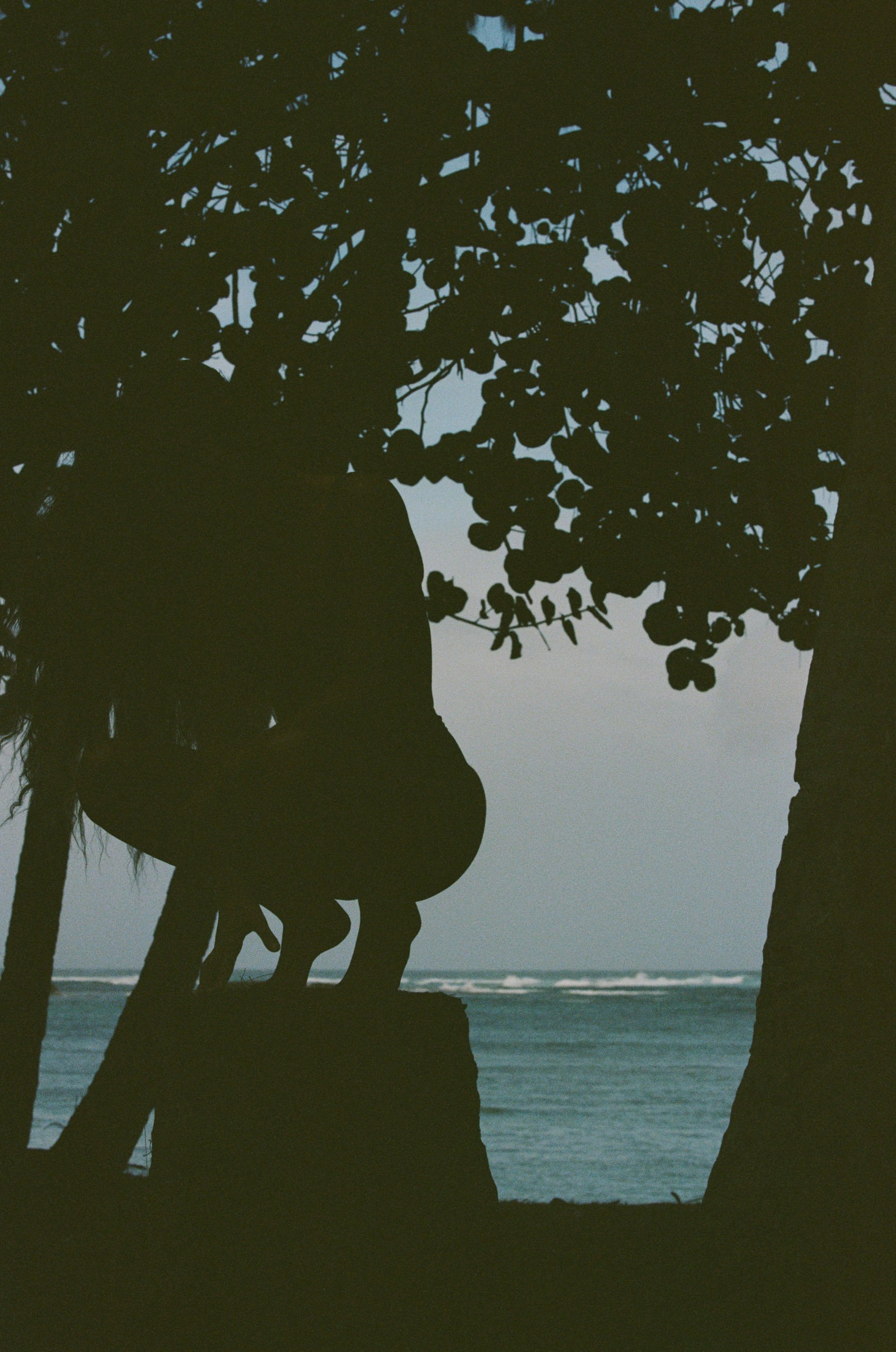 6572-3-0025 copy 2.jpg