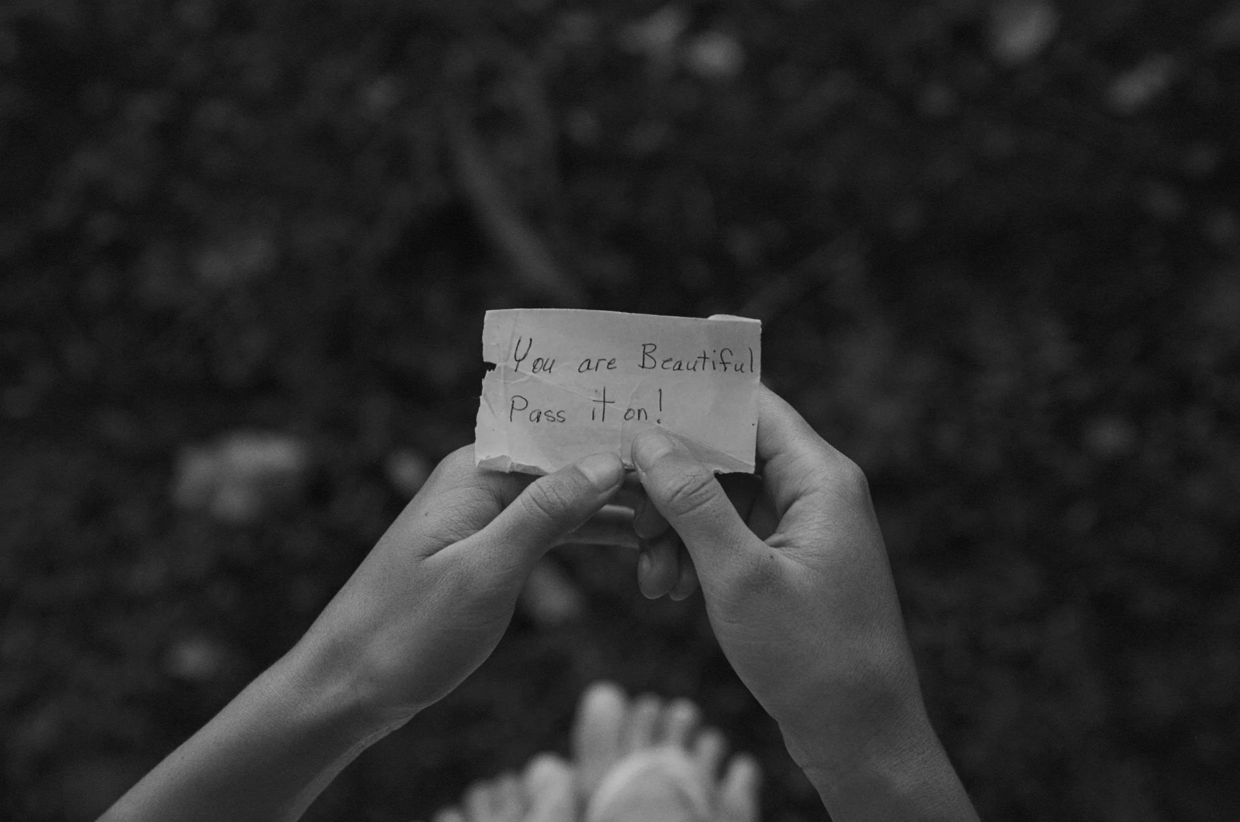 6927-16-0008 copy.jpg