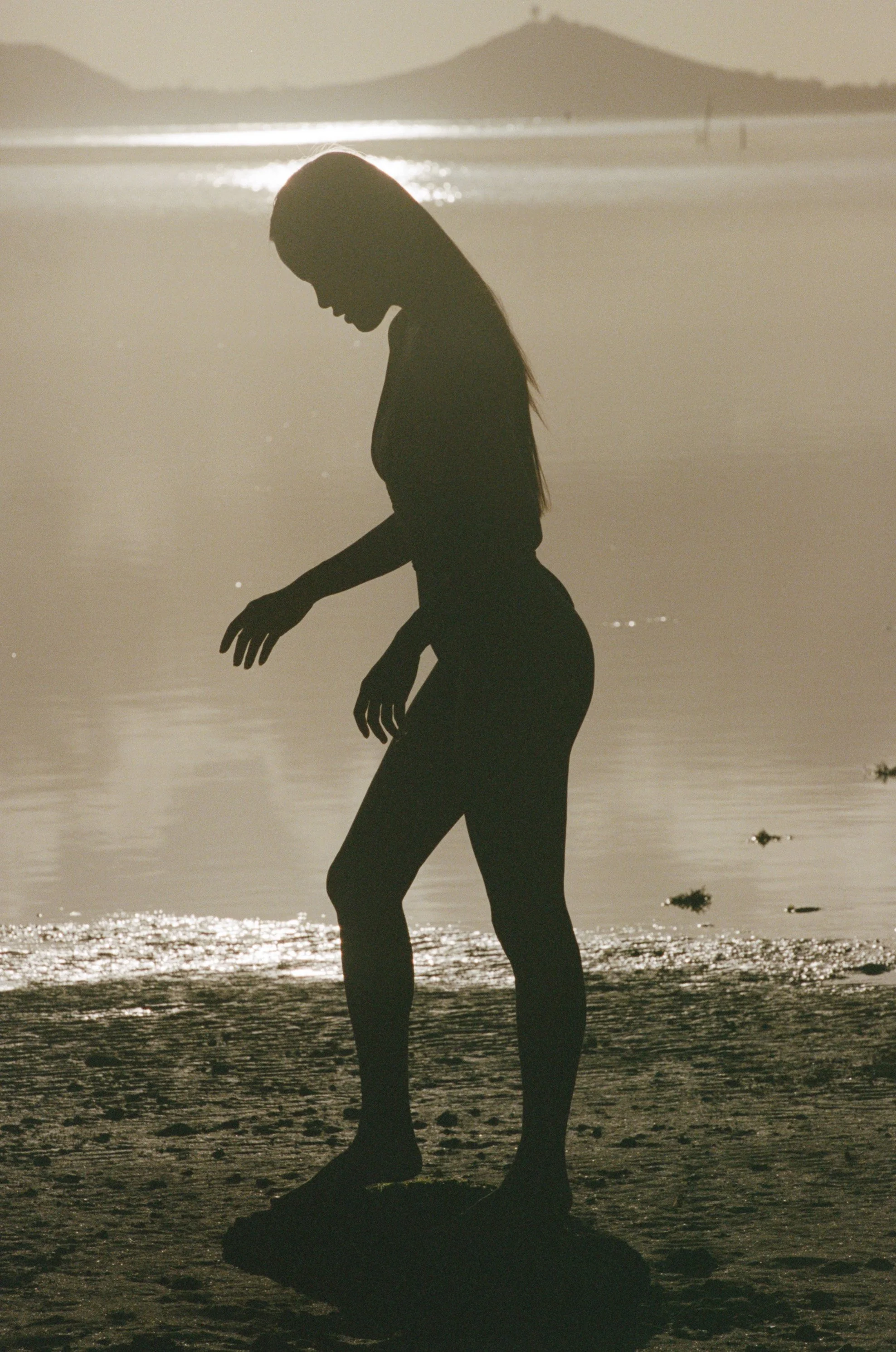 8669-2-0002 copy 2.jpg