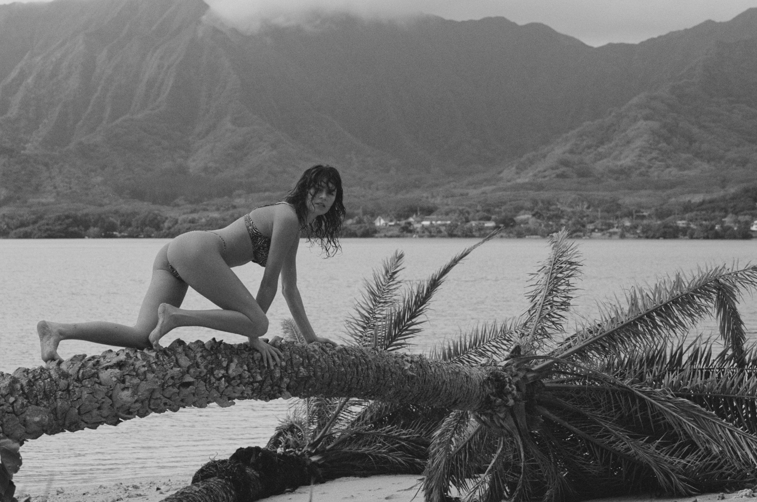 10510-20-0030 copy 2.jpg