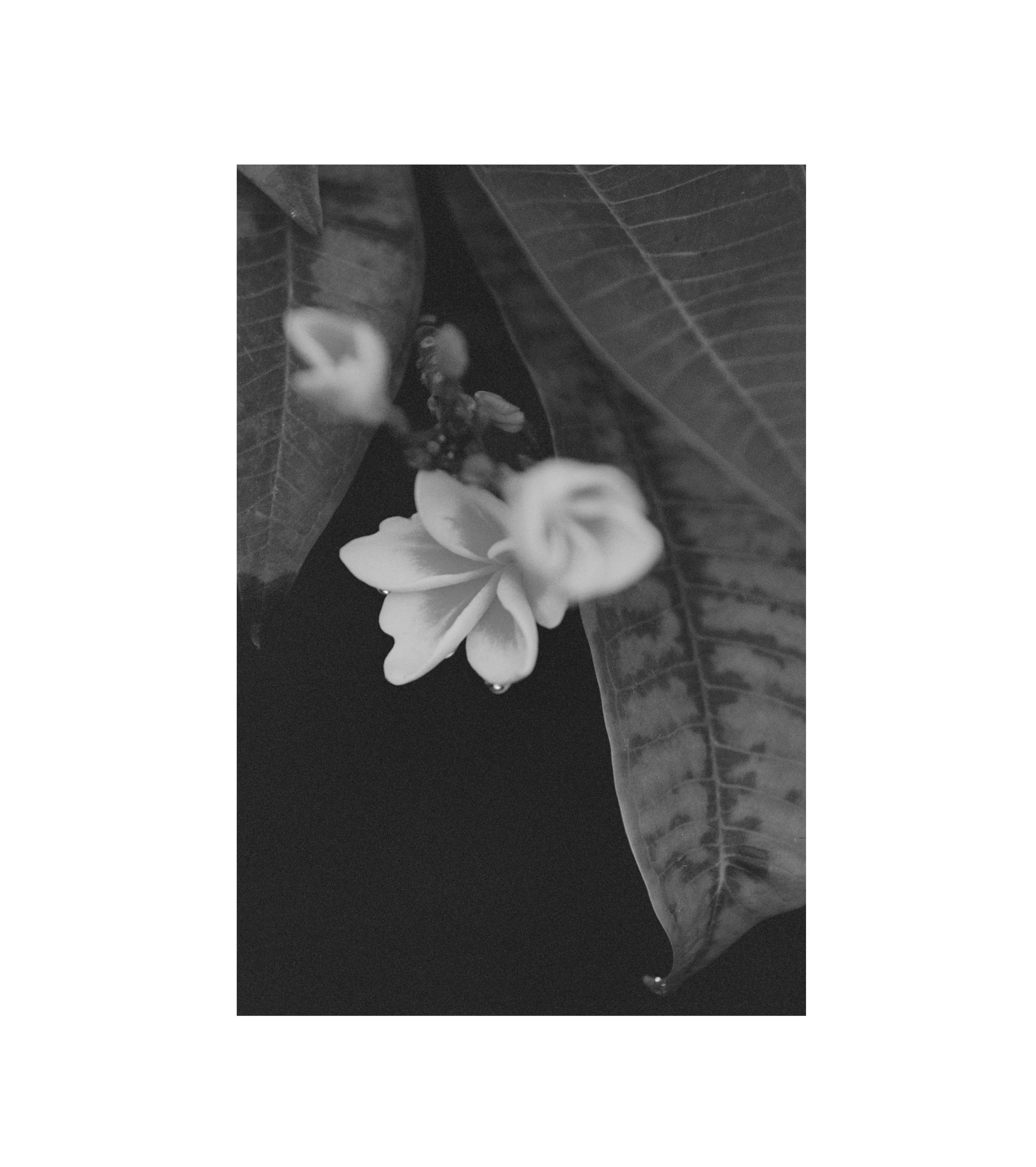 SAM990029210- (109) copy 2.jpg