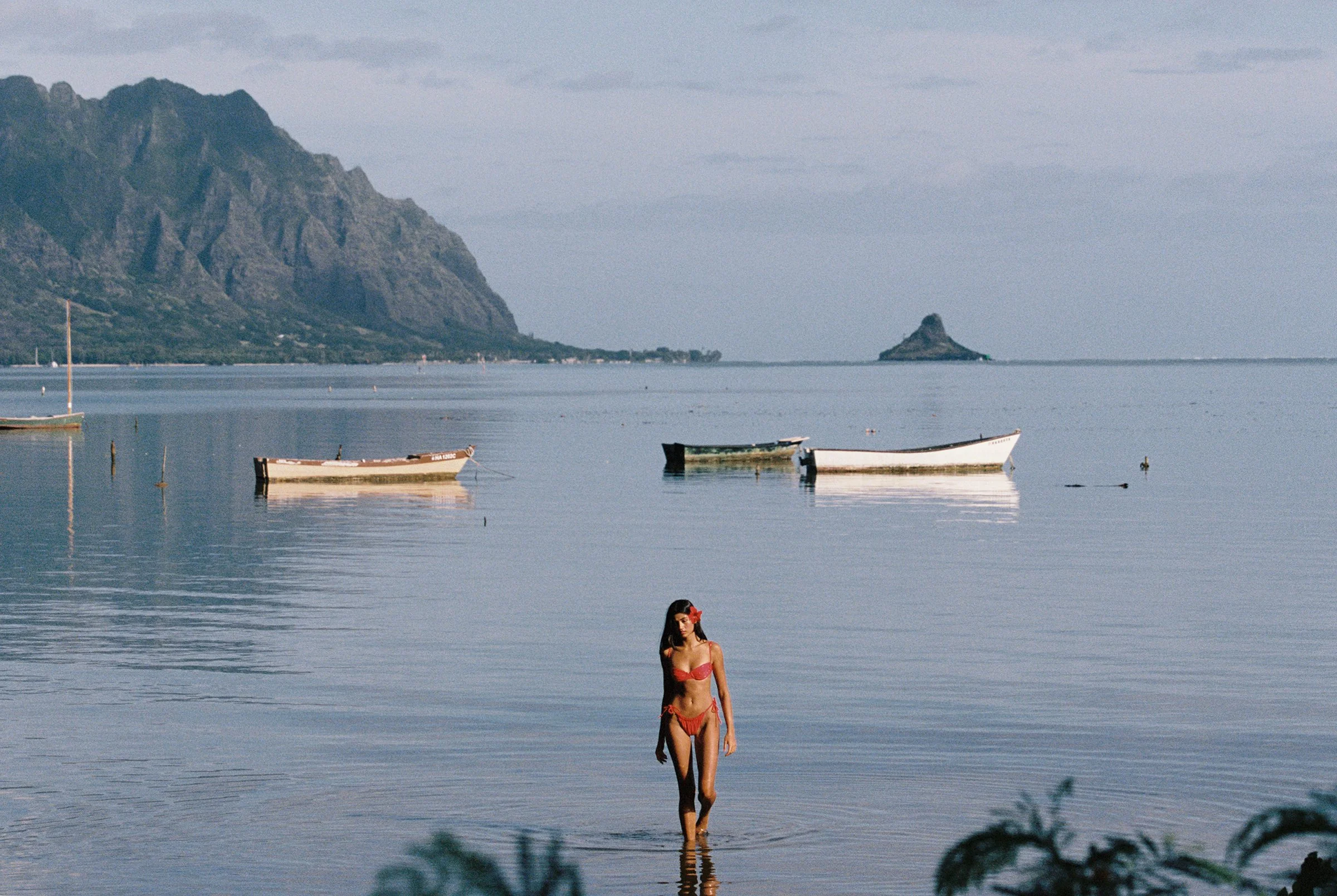 sam8244-383 copy 2.jpg