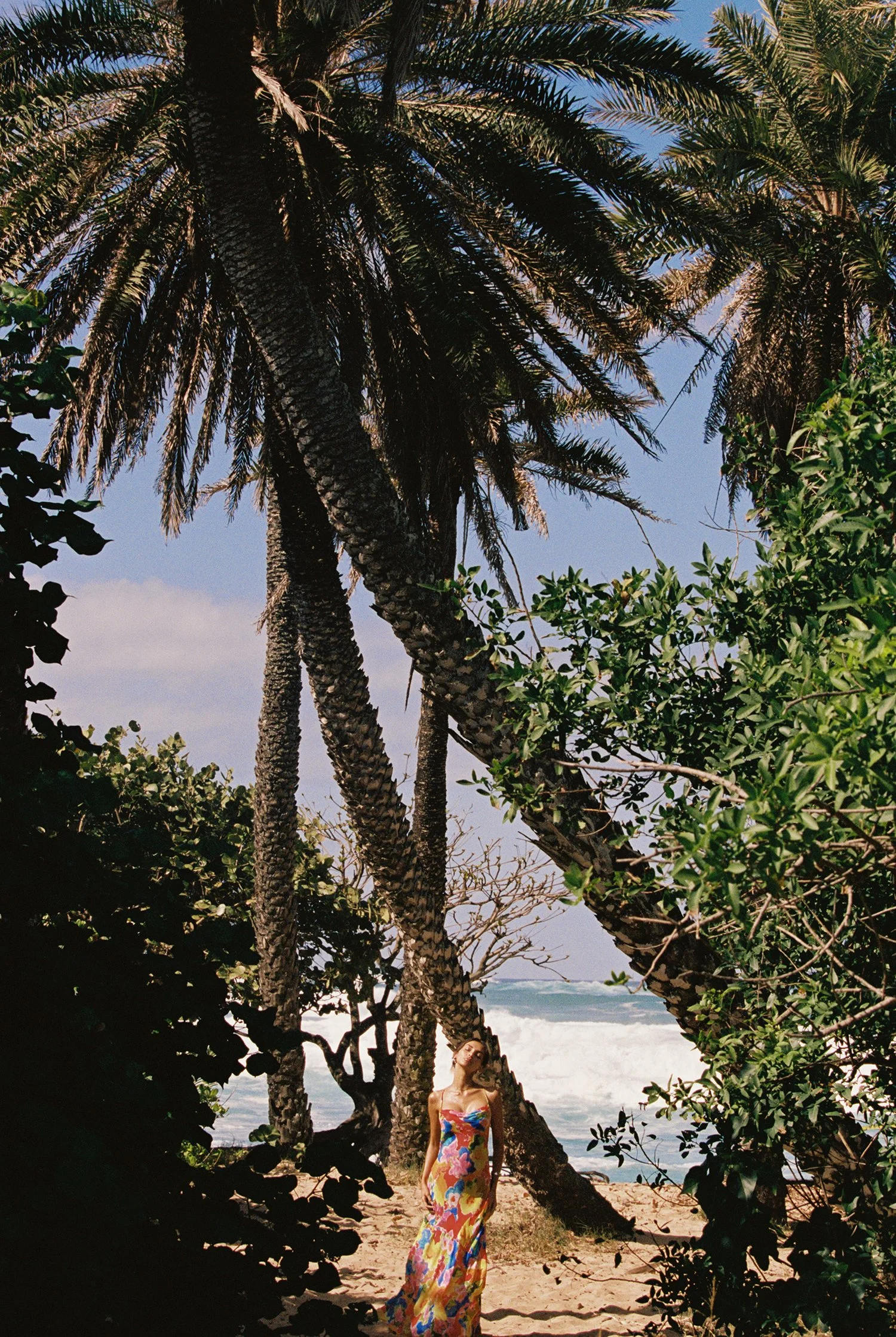 sam8244-413 copy 2.jpg