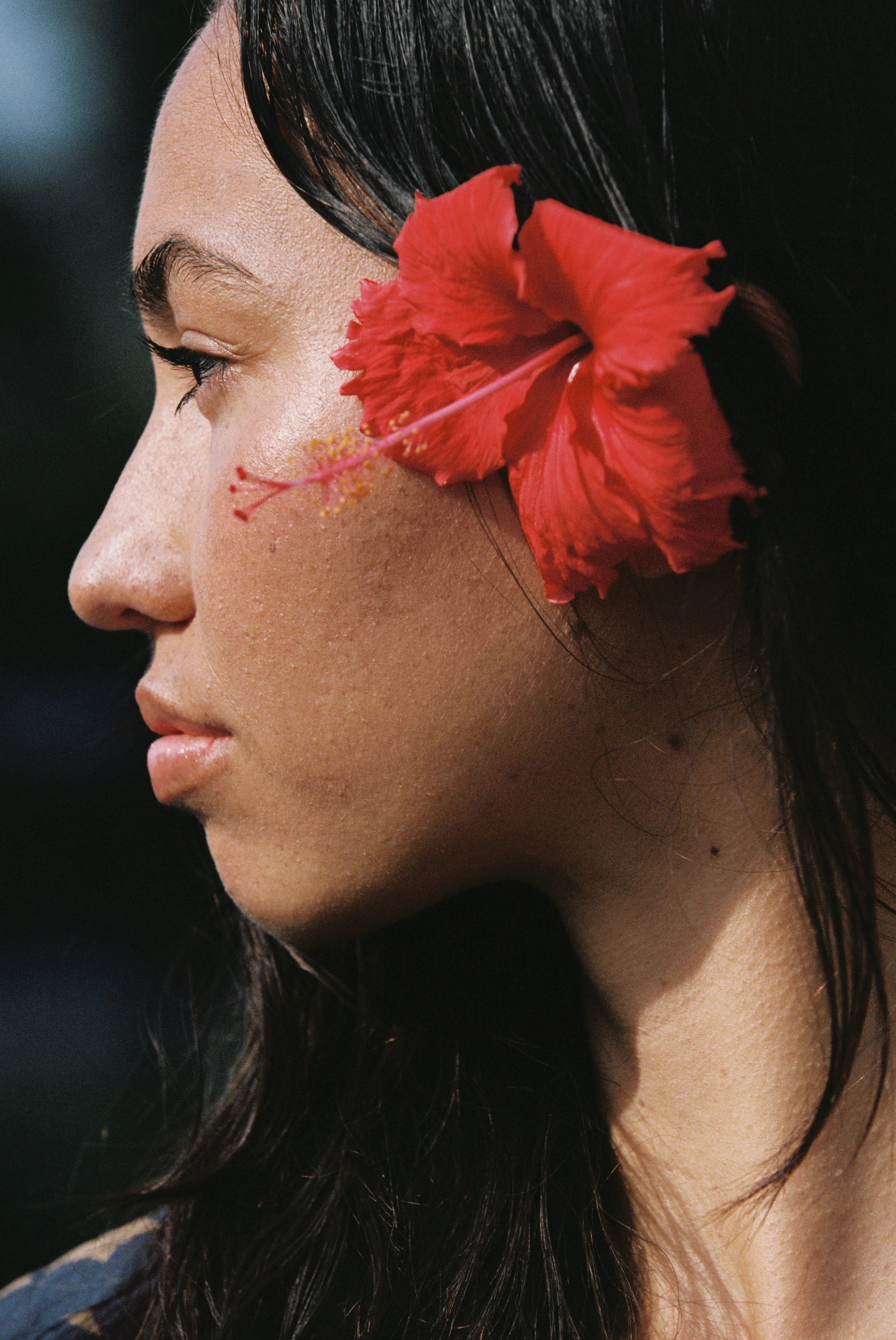 SAM3396-230 copy.jpg