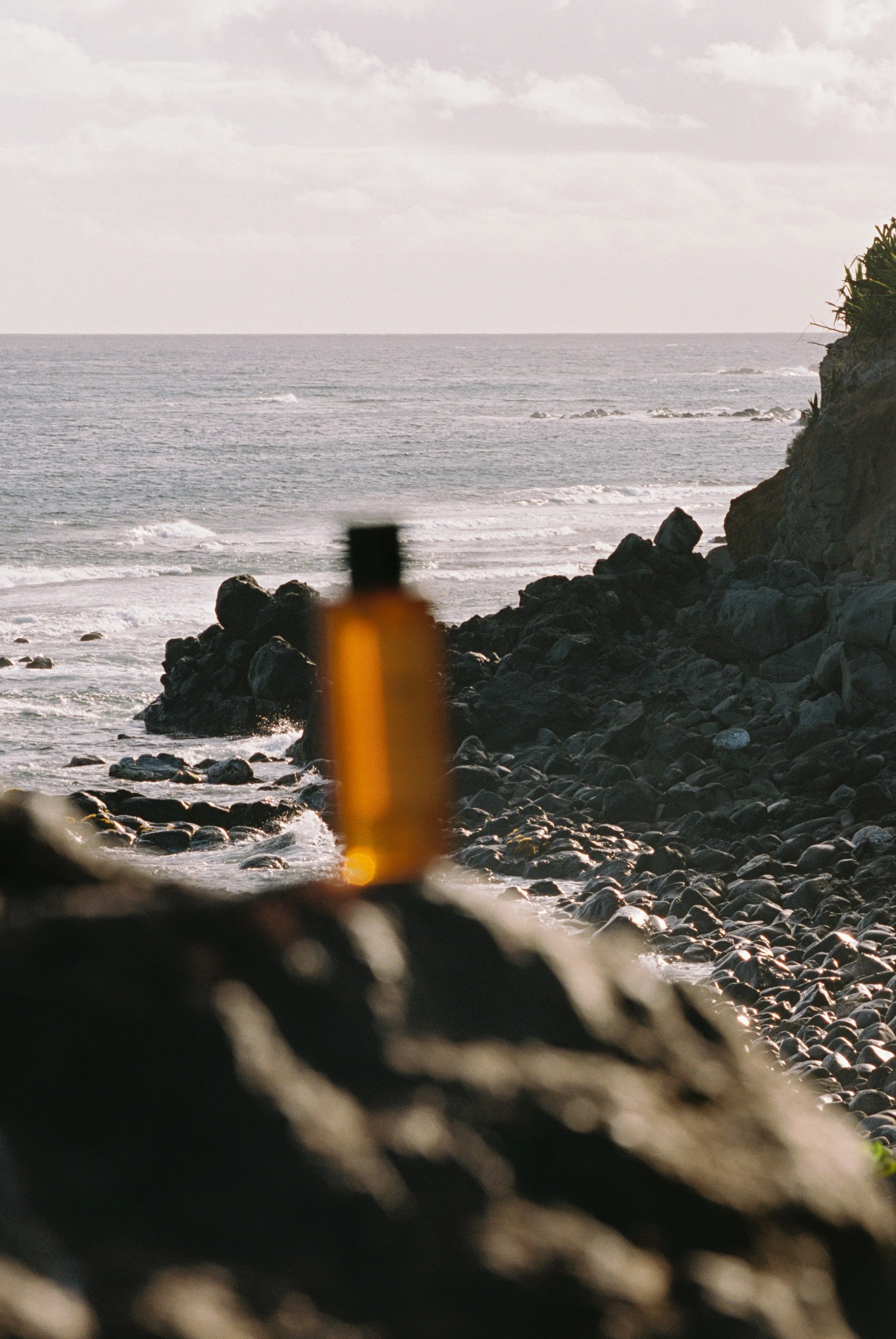 SAM2016-048 copy.jpg