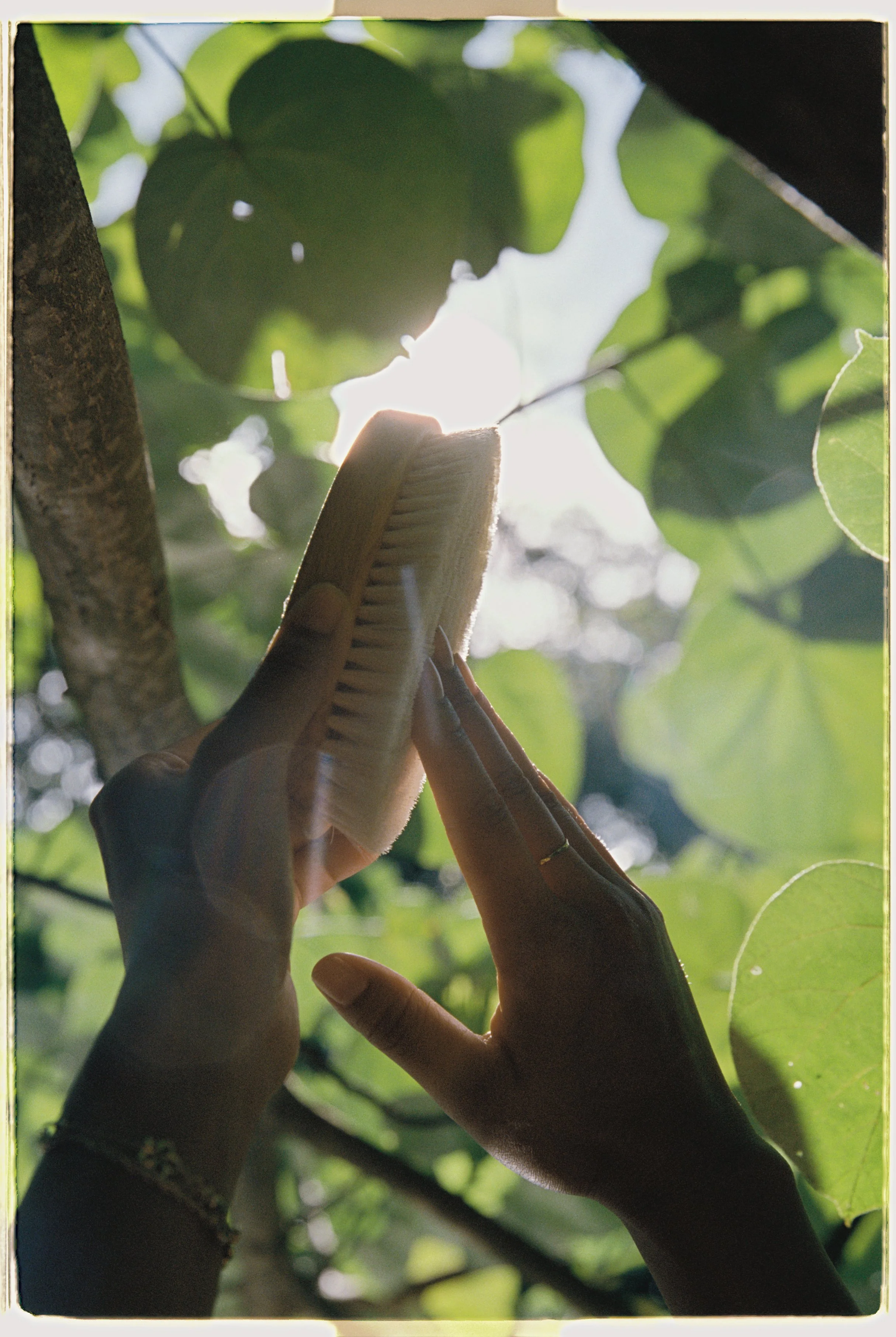 SAM050034576-R1-120 copy.jpg