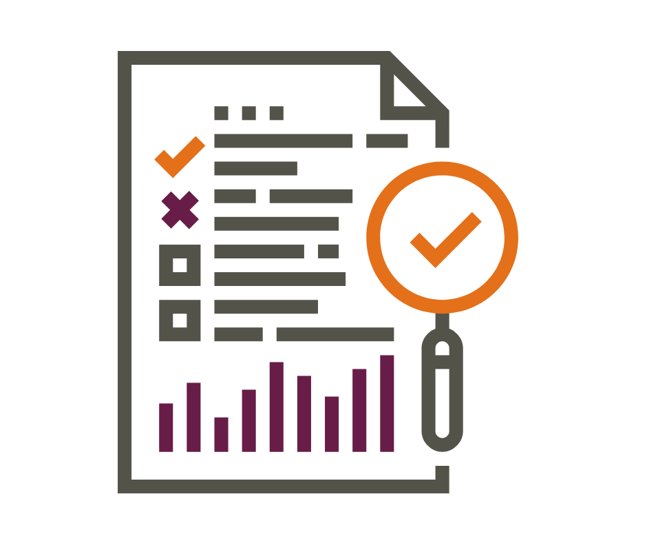 Software &amp; Technology Audit