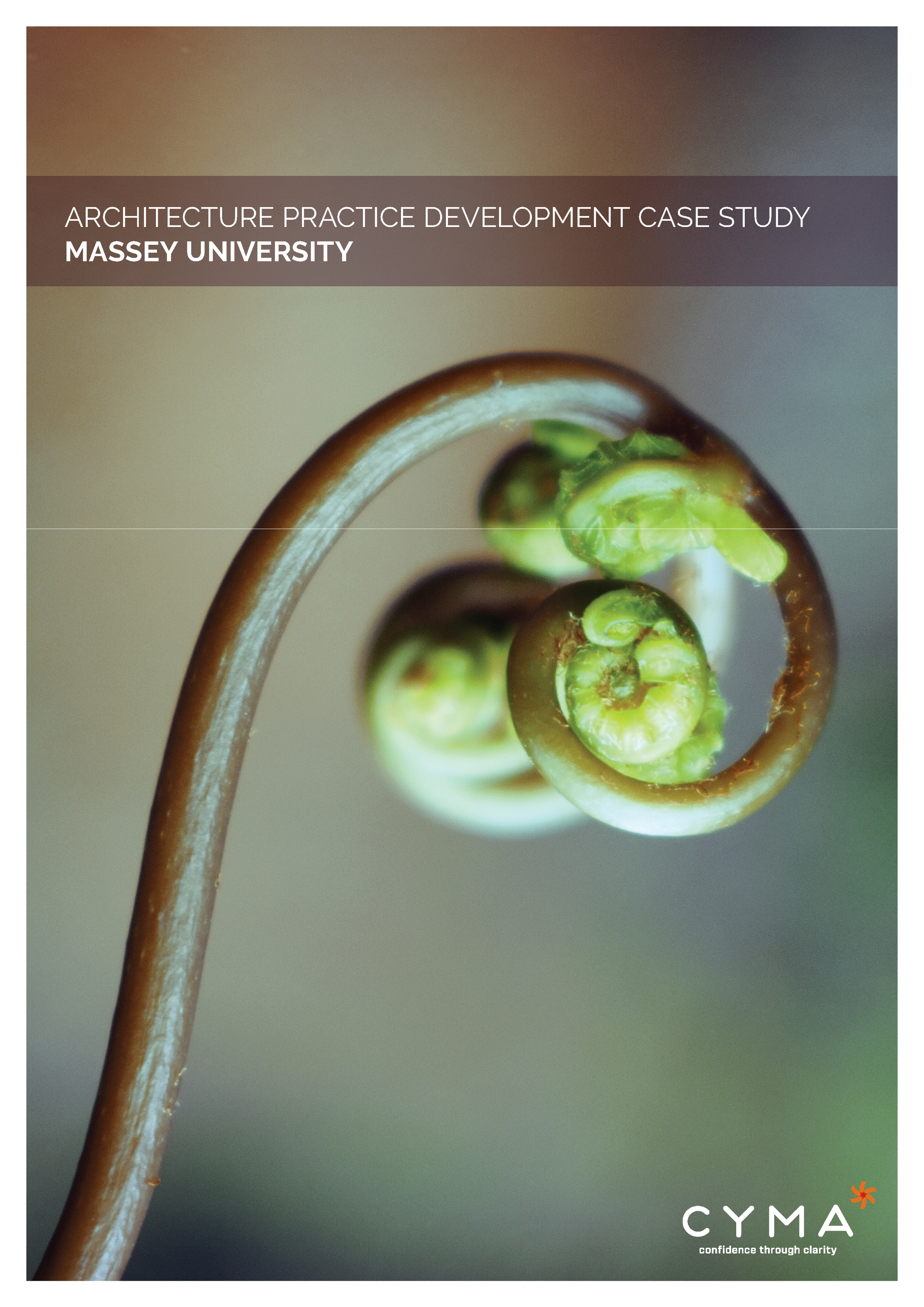 Massey University Case Study