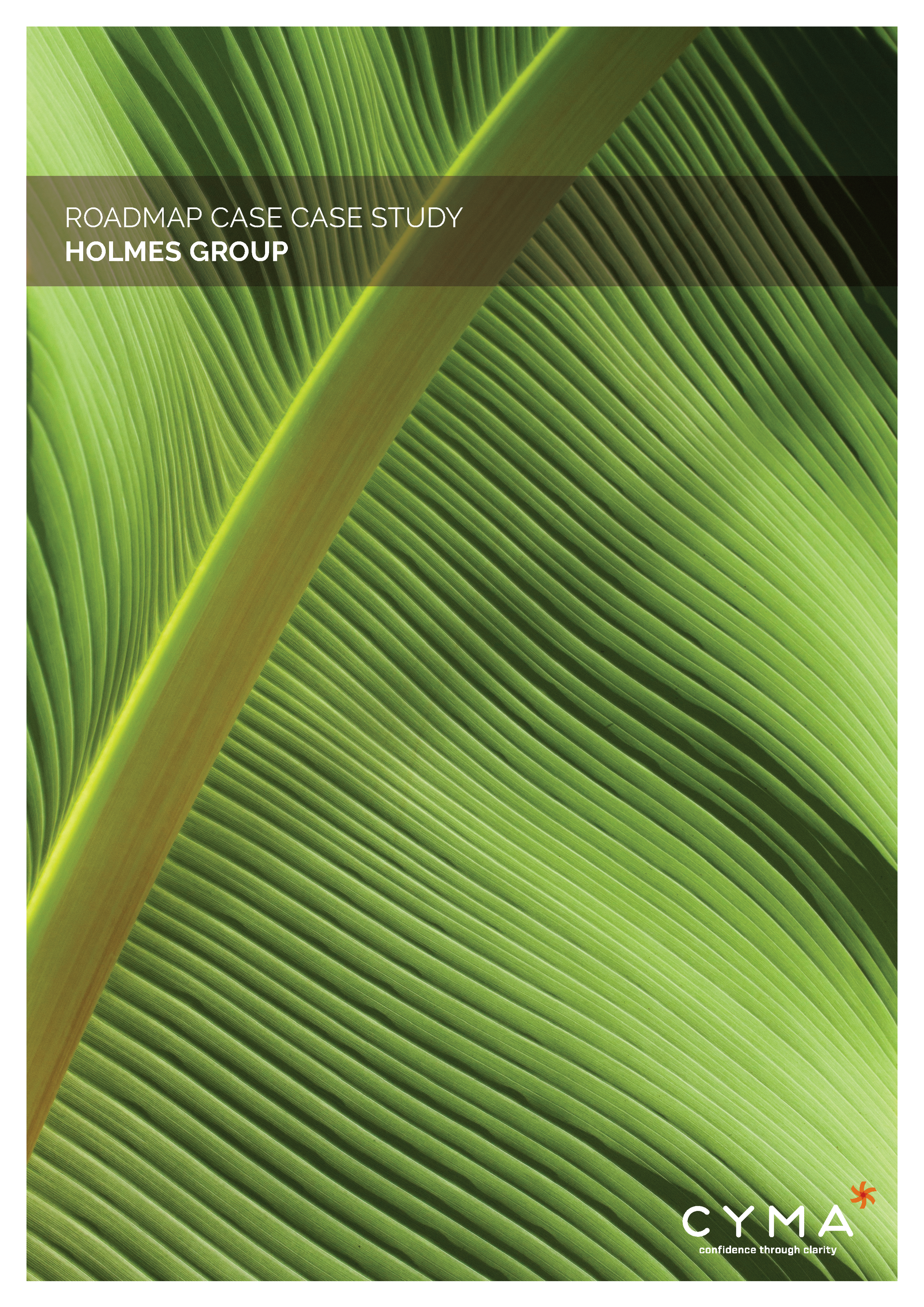 Holmes Group Case Study
