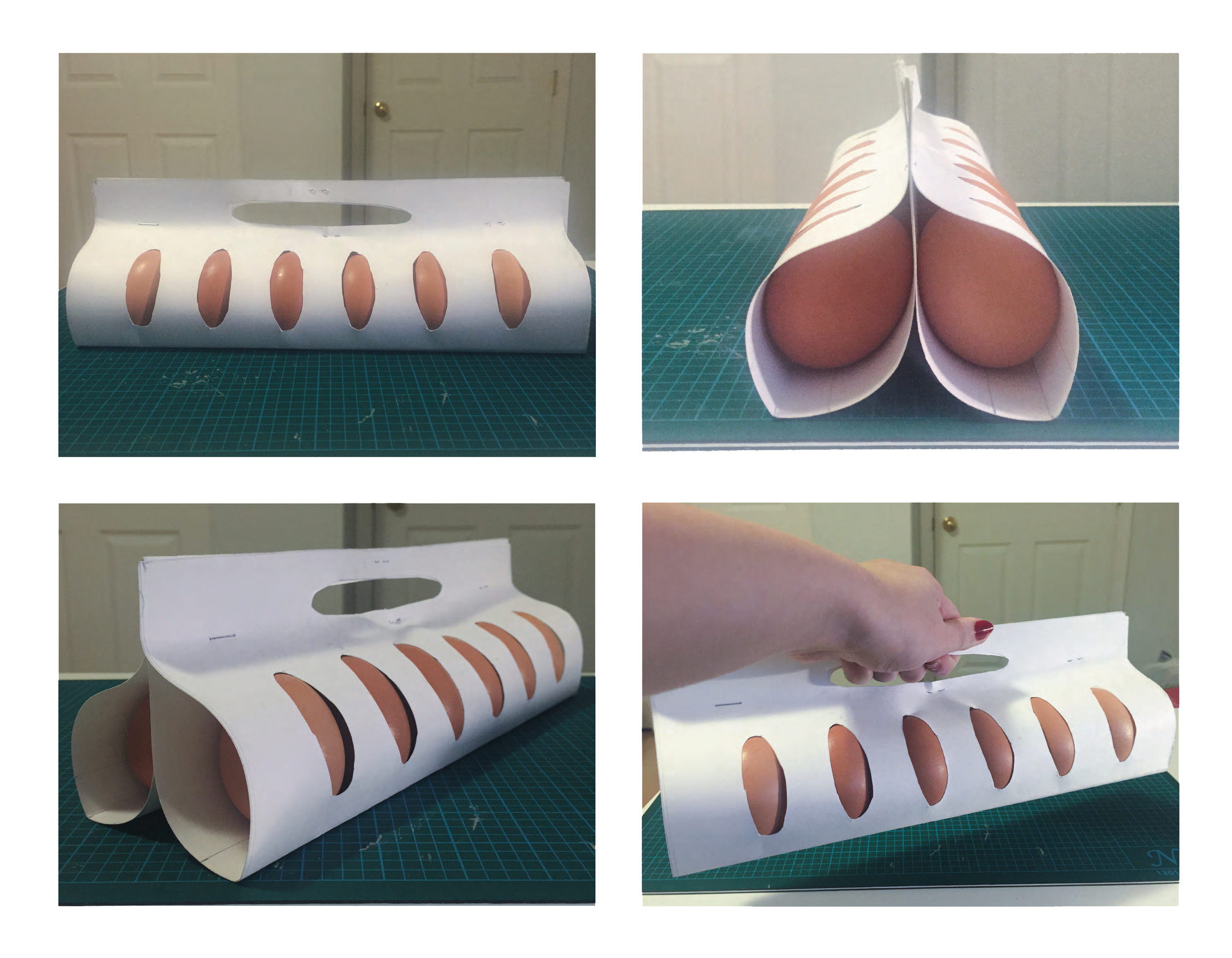 Prototype of a single-sheet egg carrier with handle. 