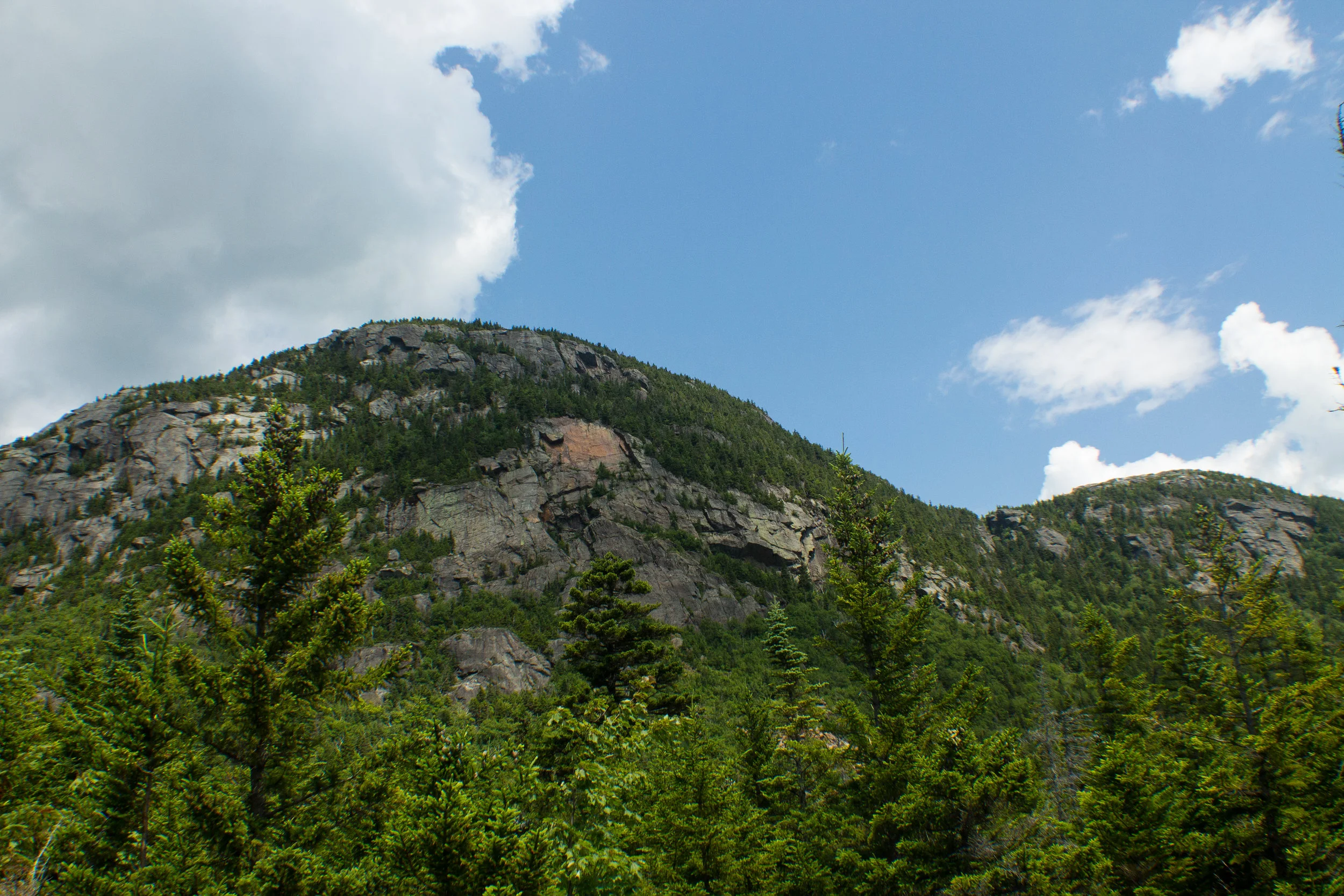tumbledown12017.jpg