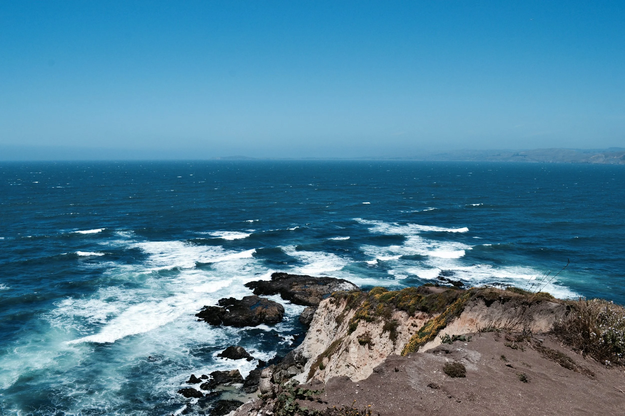 DSC_0218.jpg