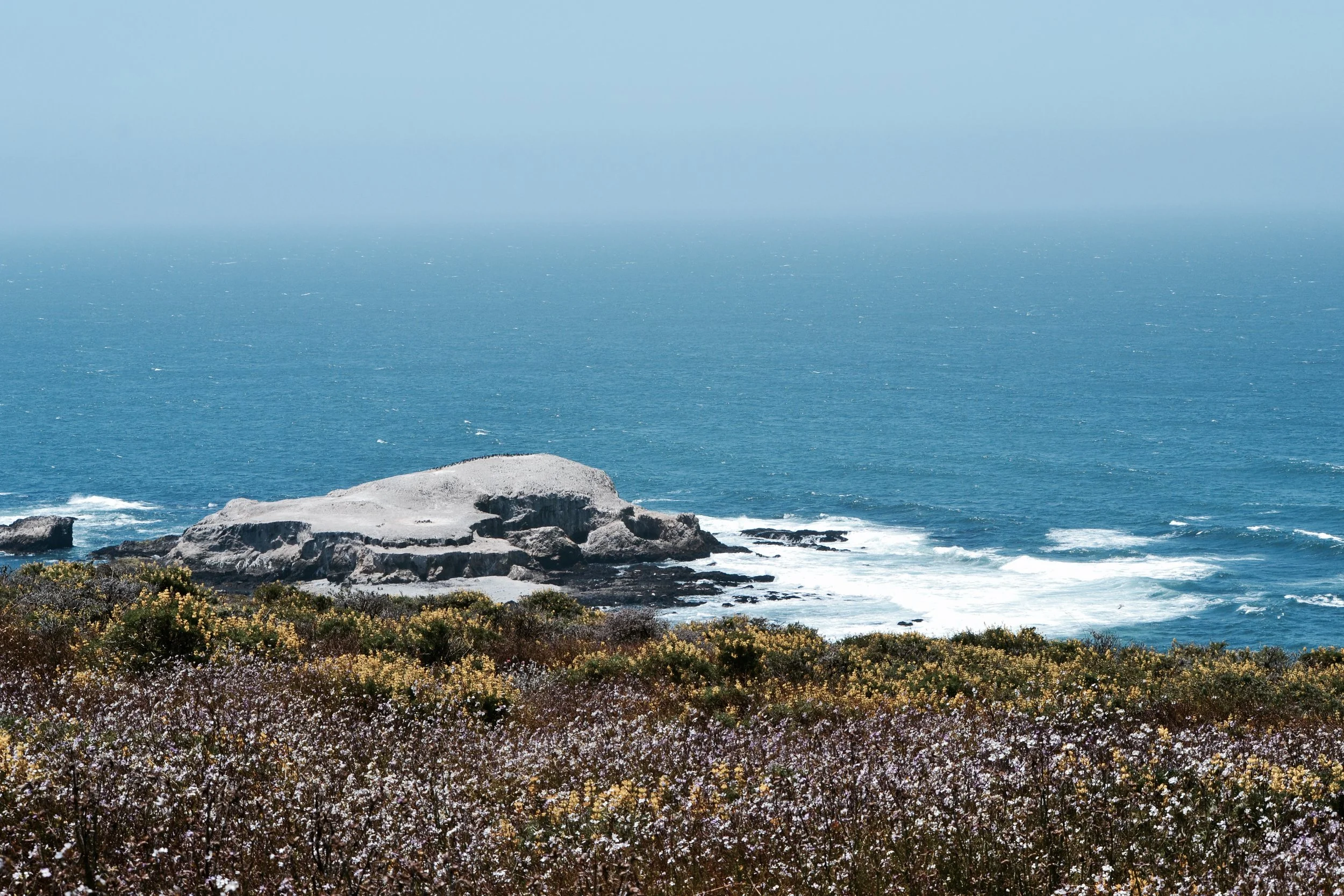 DSC_0185.jpg