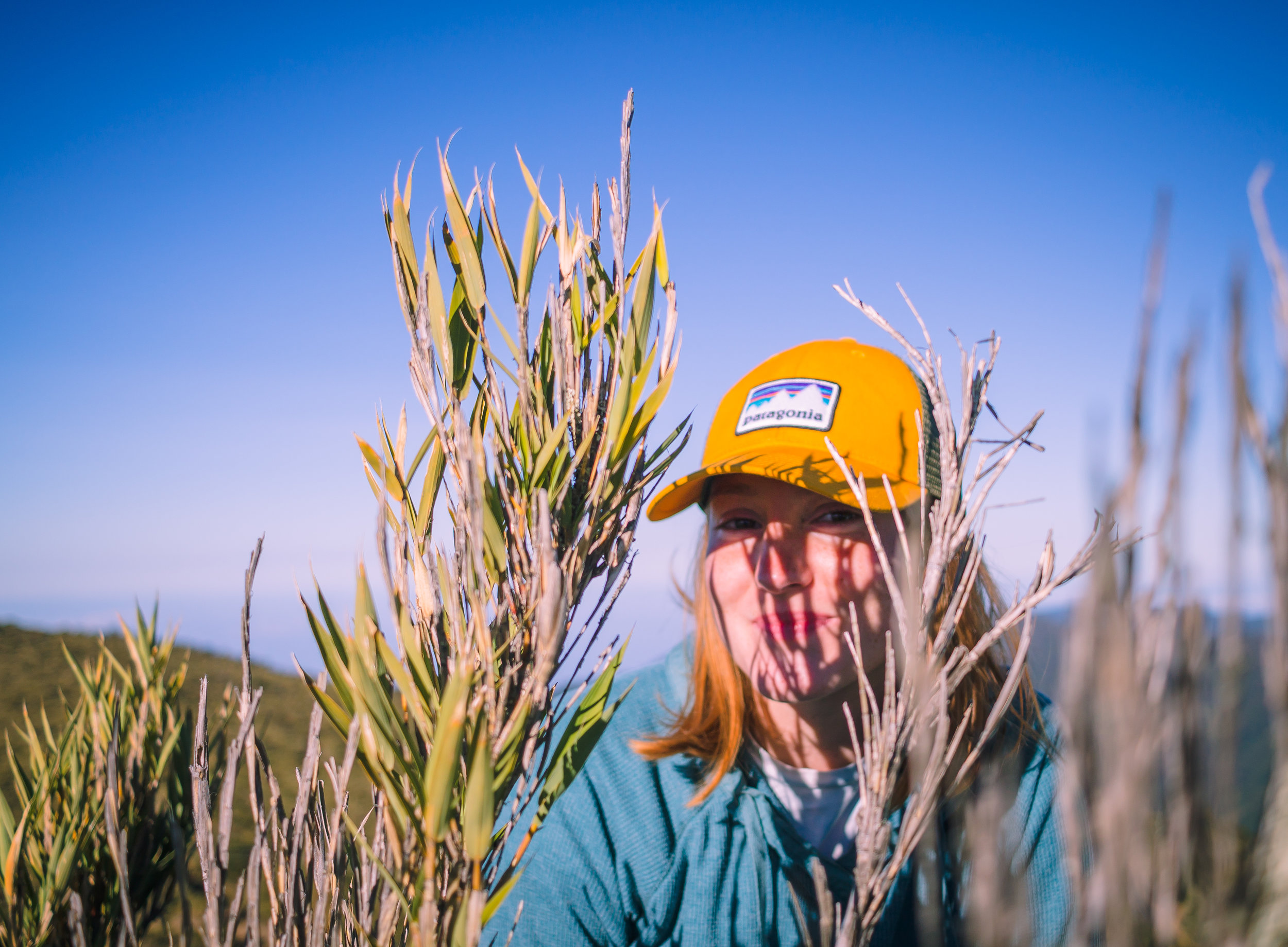 paramo edit one242018 copy.jpg