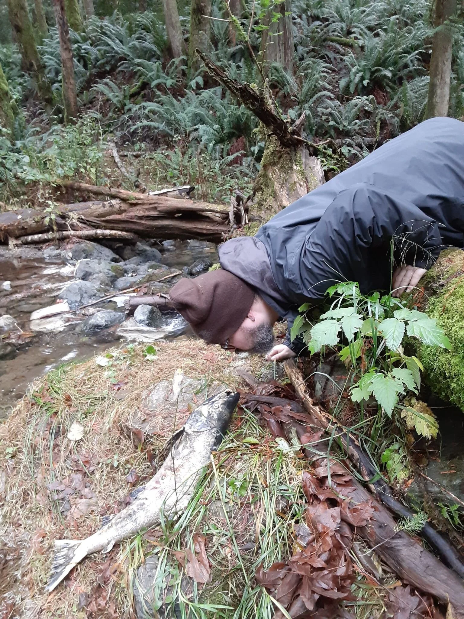 Sooke