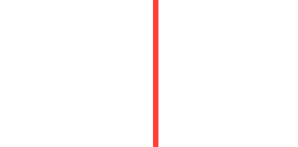 Salmon and Bear