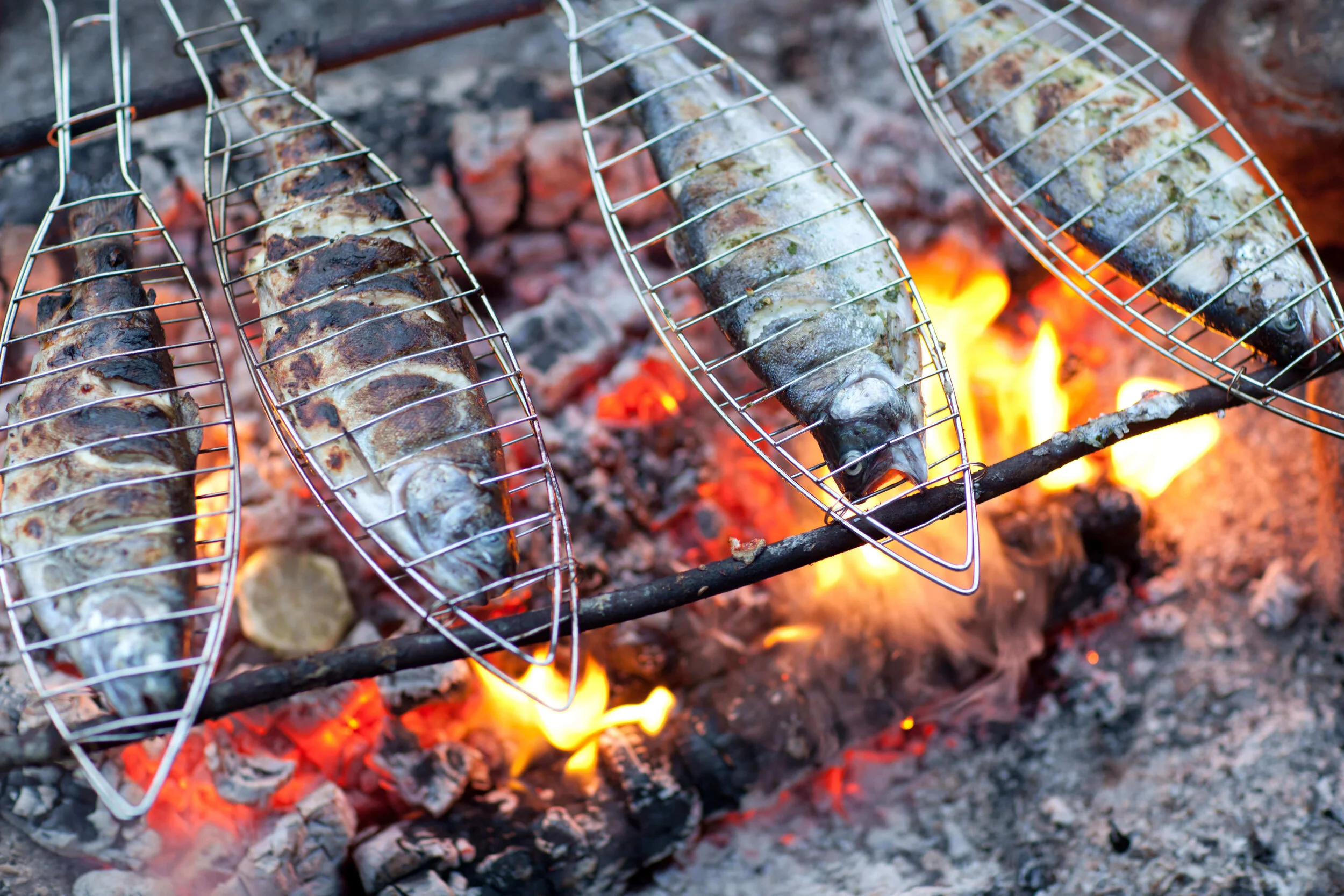 fish & fire.jpg