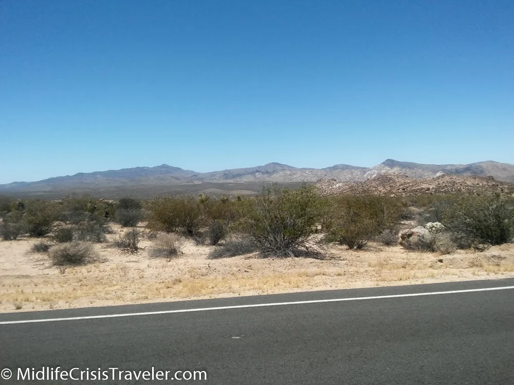 Joshua Tree 2016-1.jpg