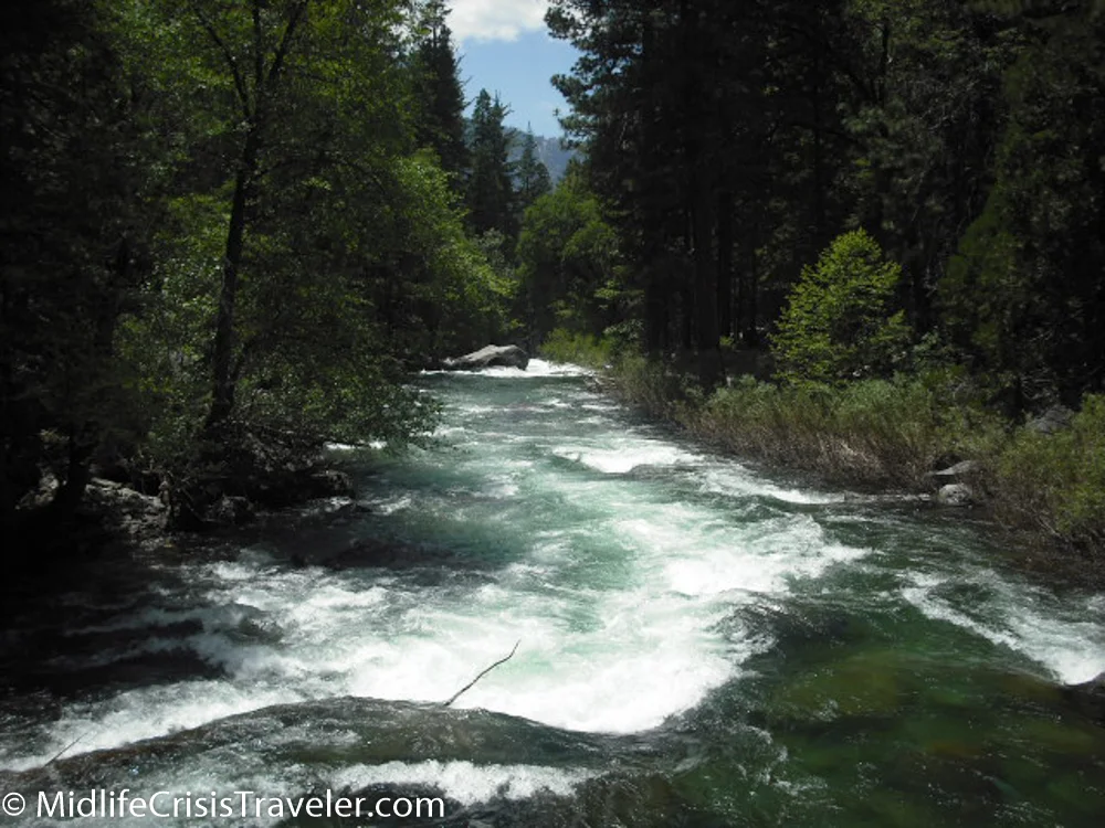 Kings Canyon-41.jpg