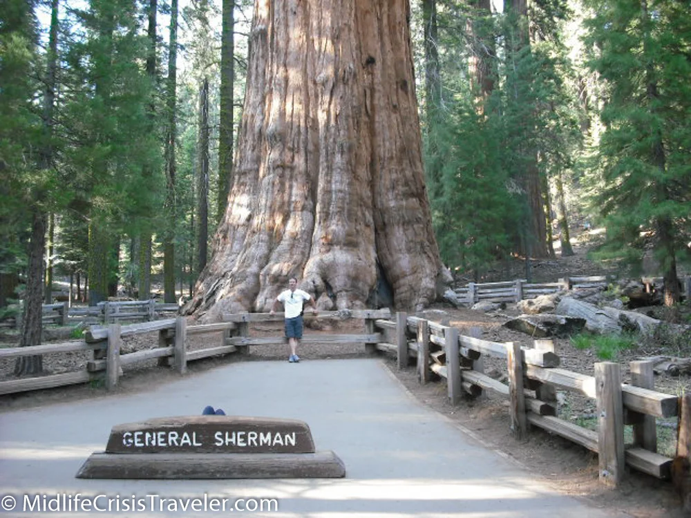 Sequoia-35.jpg