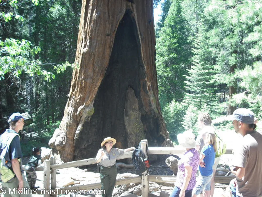 Sequoia-23.jpg
