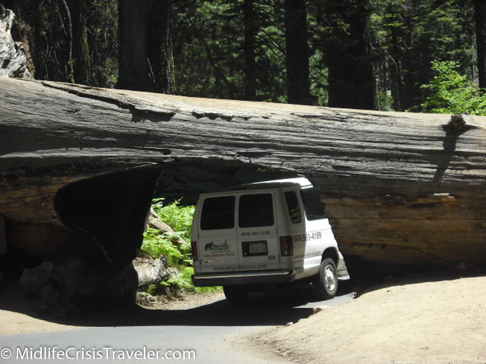 Sequoia National Park: The Humbling of a Human