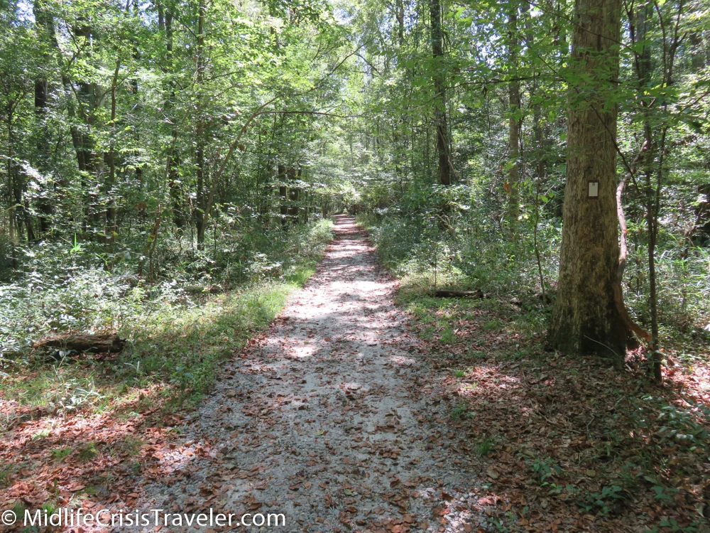 Congaree-3.jpg
