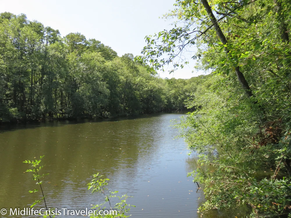 Congaree-11.jpg