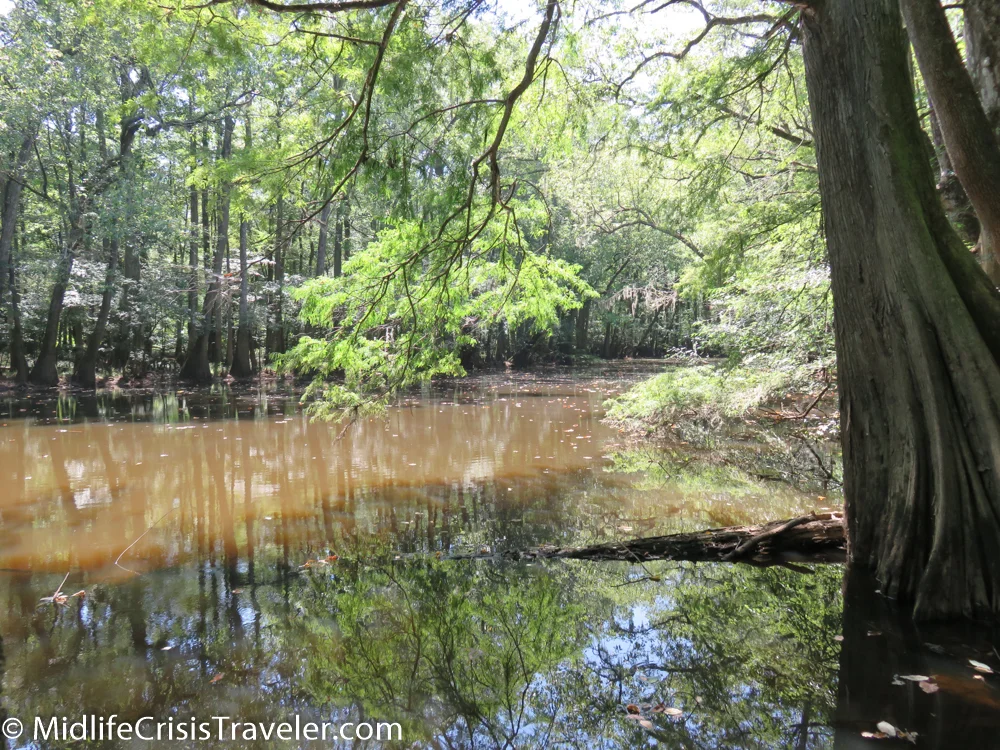 Congaree-25.jpg