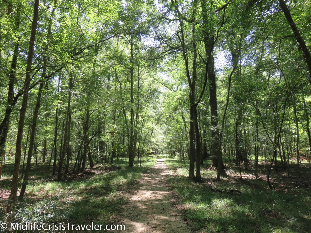 Congaree-18.jpg