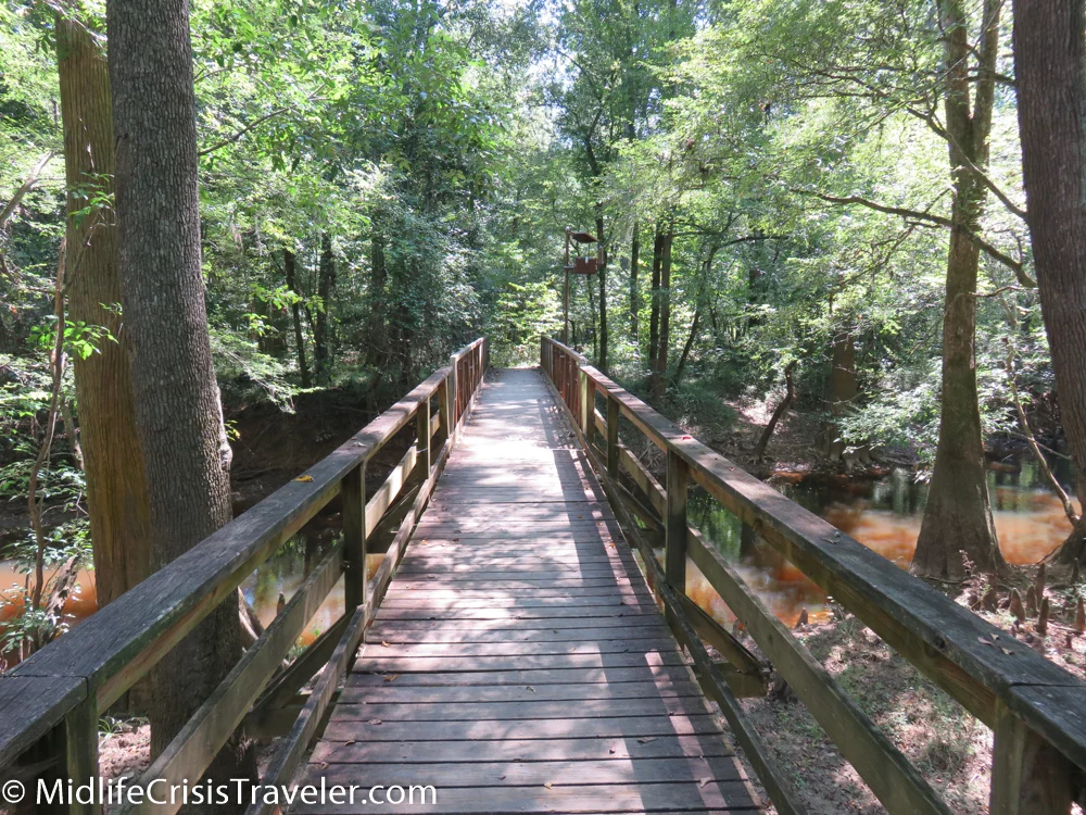 Congaree-26.jpg