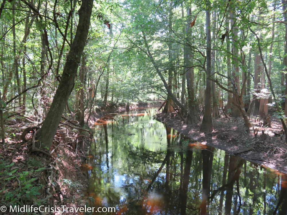 Congaree-29.jpg