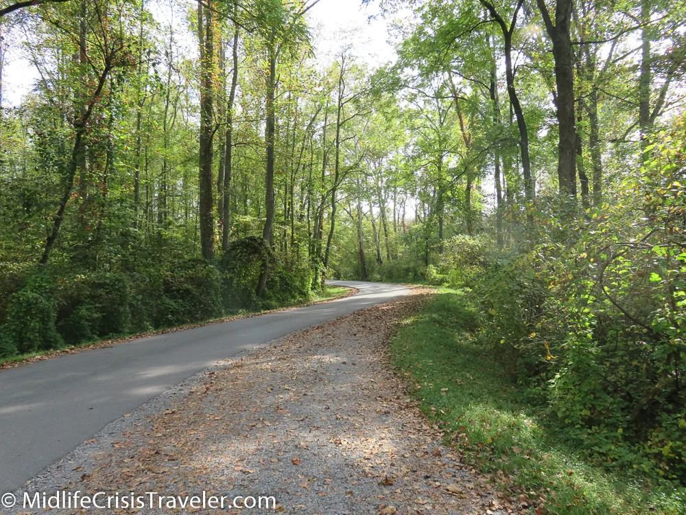 Great Smoky Mountains-114.jpg