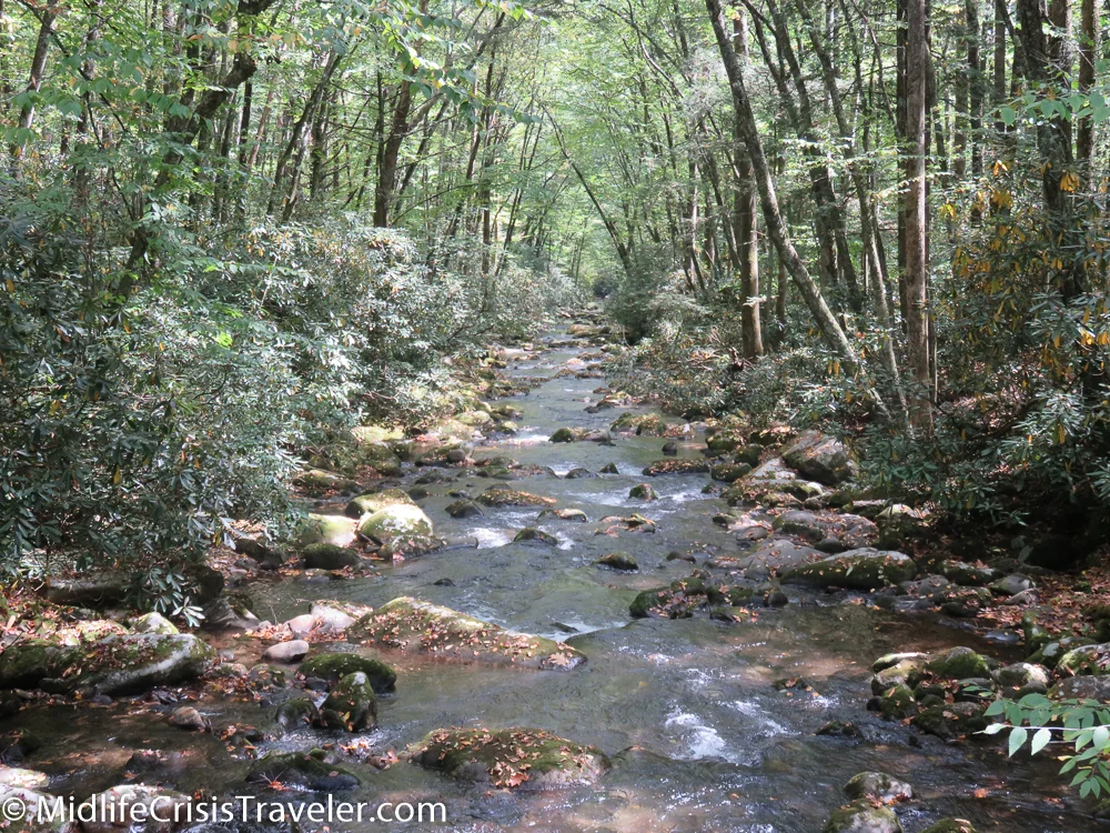 Great Smoky Mountains-42.jpg