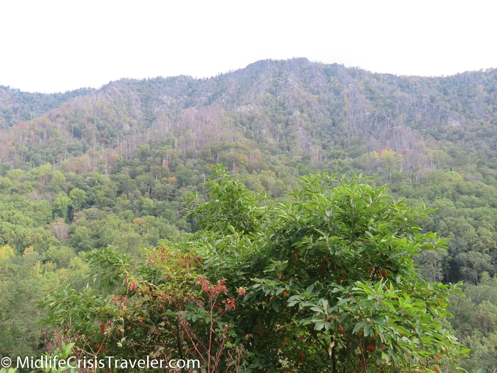 Great Smoky Mountains-143.jpg