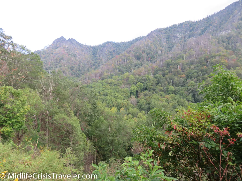 Great Smoky Mountains-142.jpg